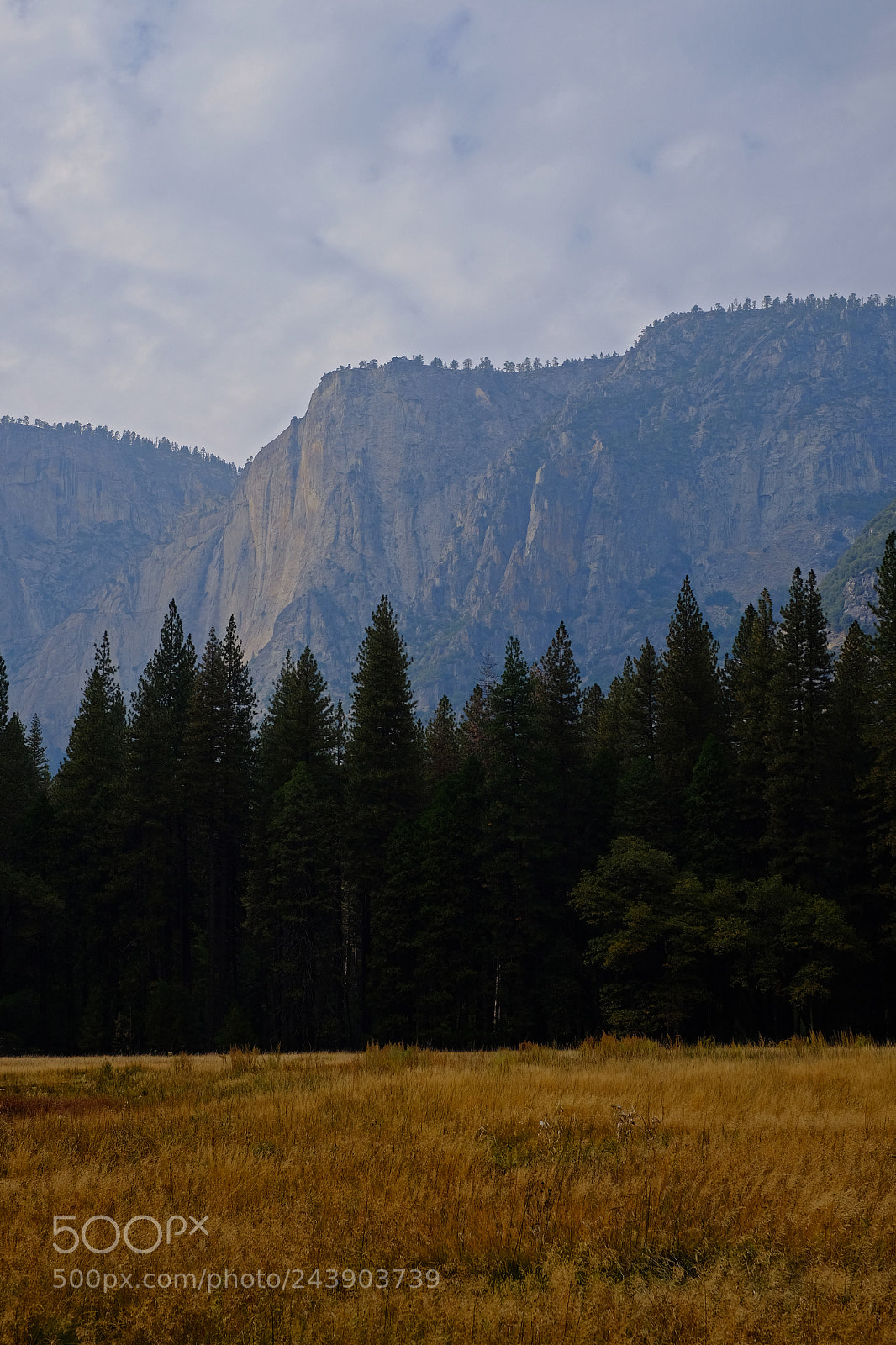 Fujifilm X-T10 sample photo. Yosemite photography