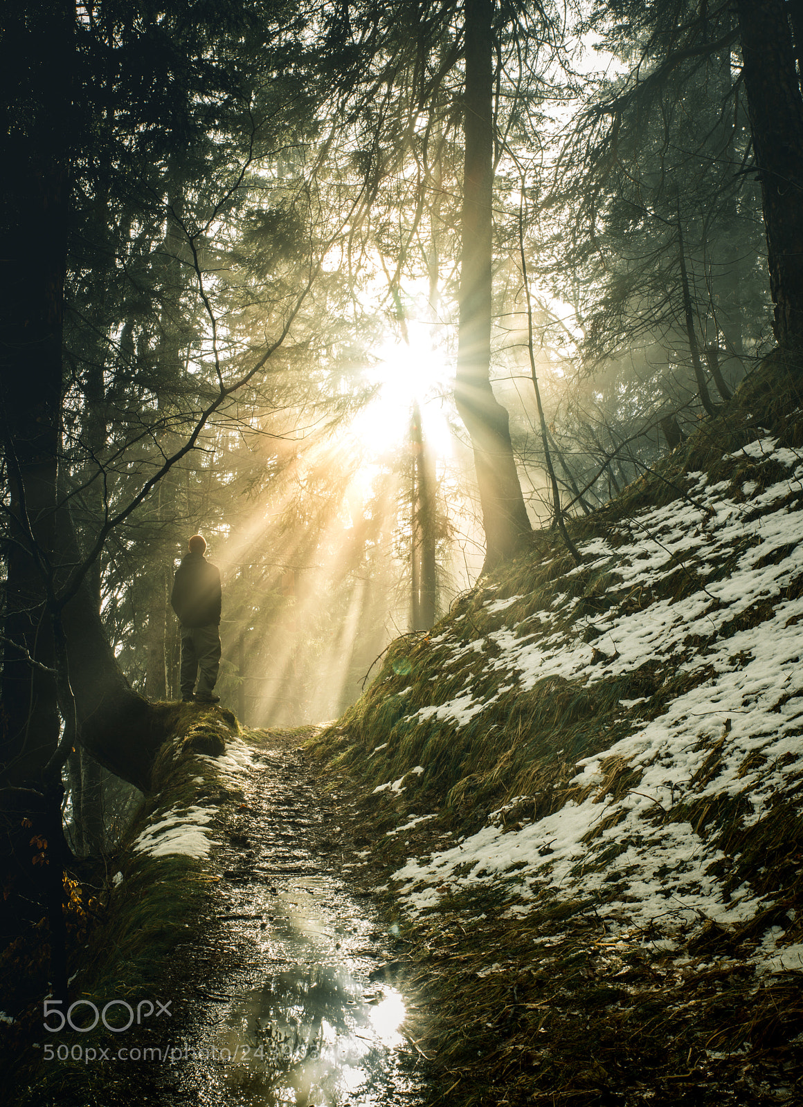 Nikon D800 sample photo. Beam me up photography