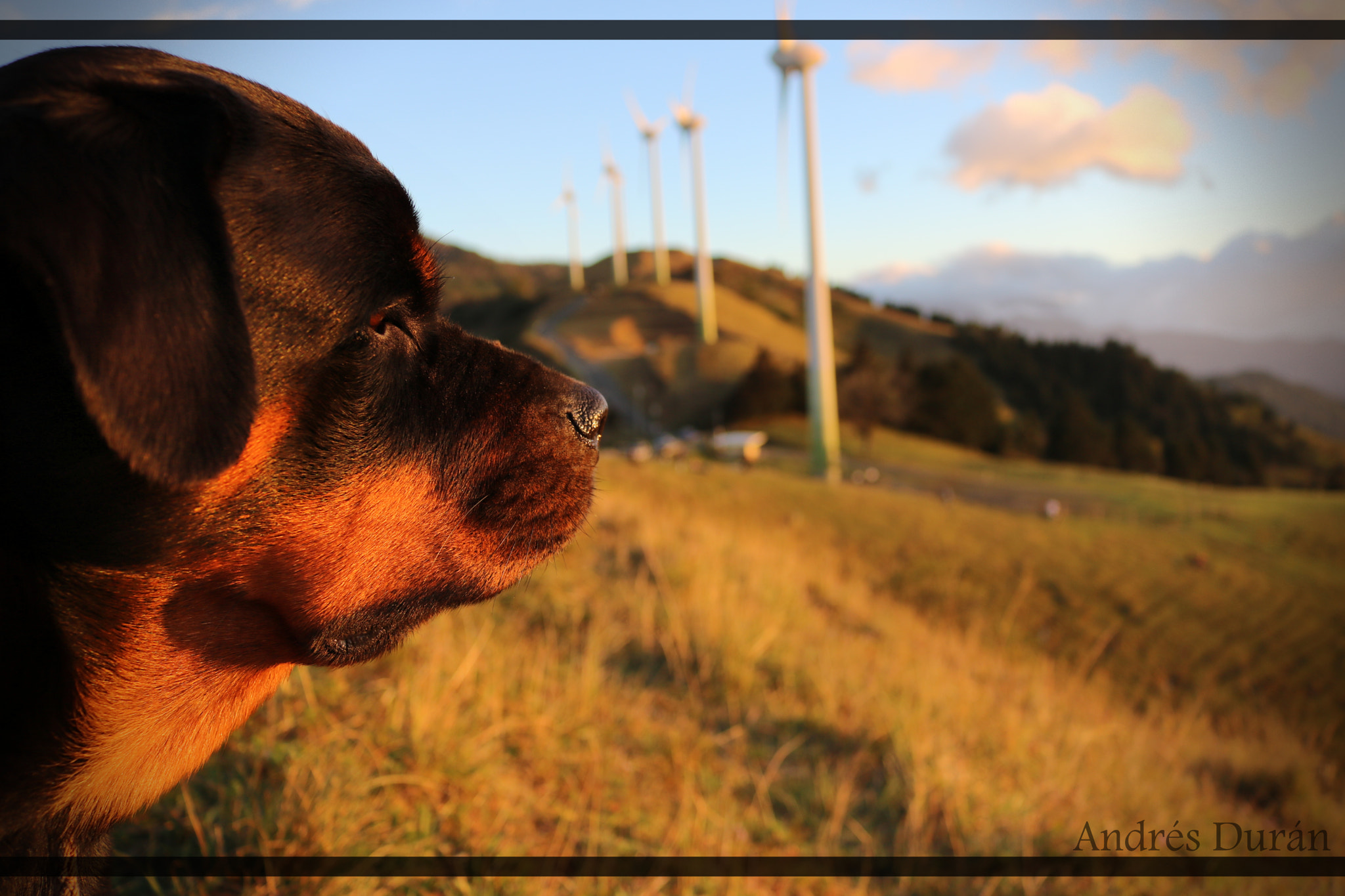 Canon EOS 760D (EOS Rebel T6s / EOS 8000D) sample photo. Hera photography