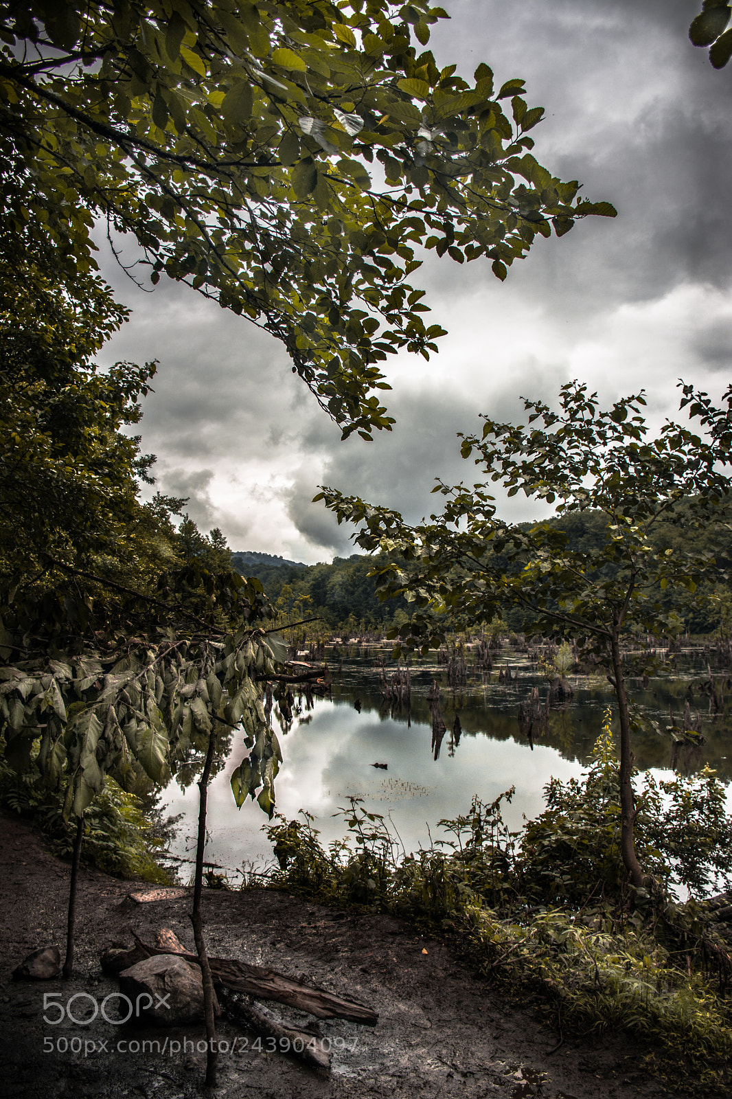 Nikon D7100 sample photo. Untitled photography