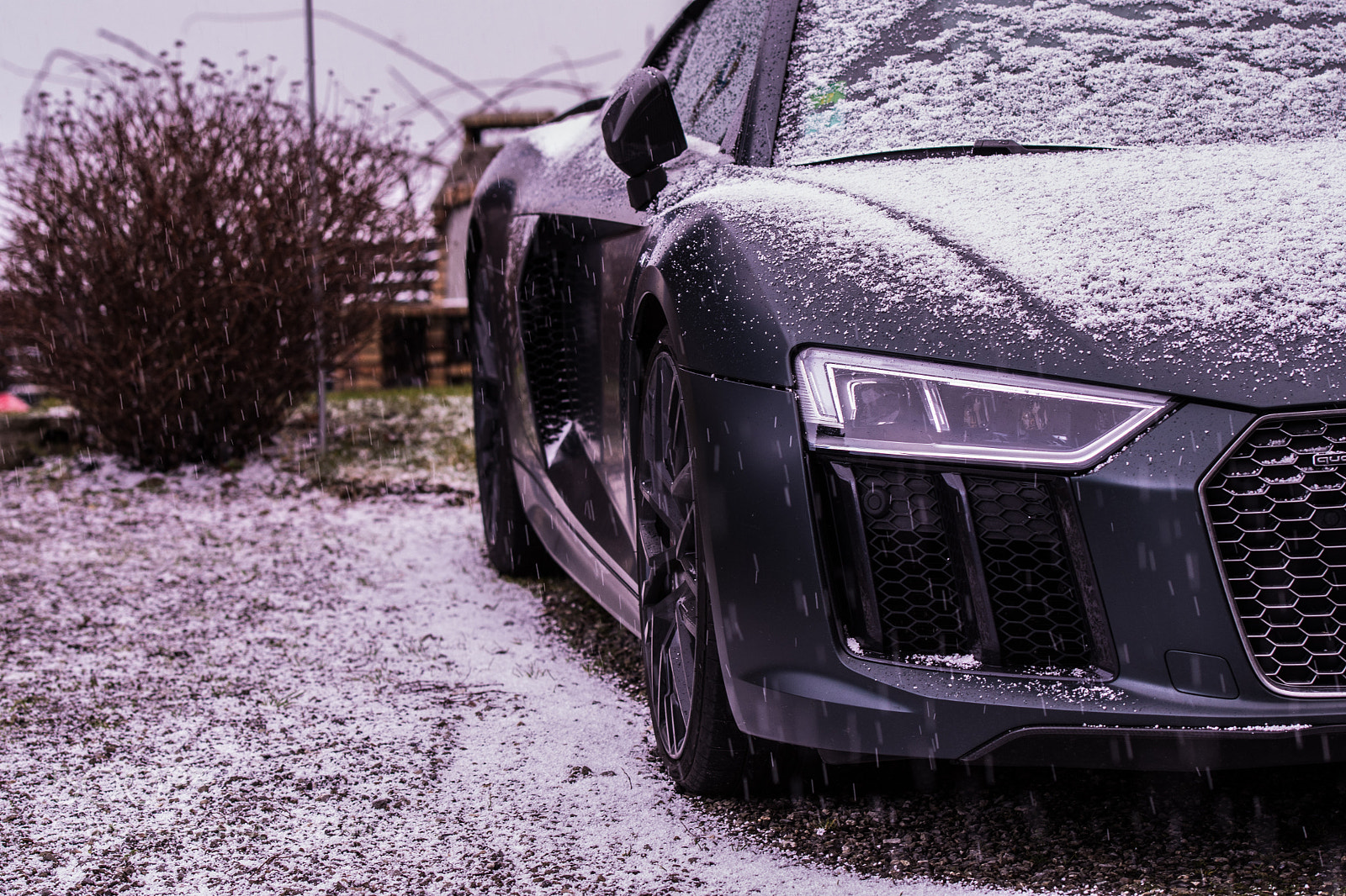 Nikon D500 sample photo. R8 - 2 photography