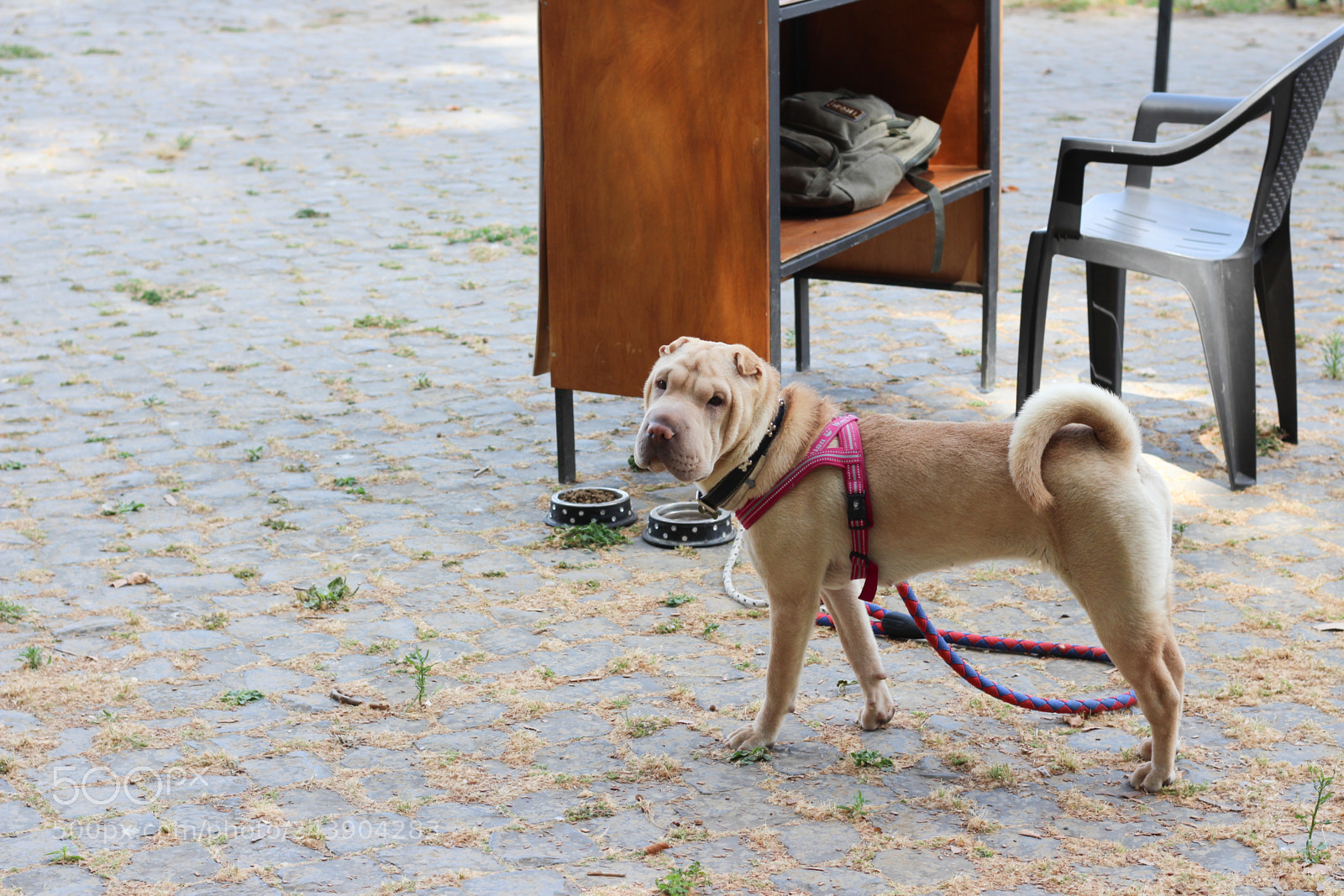 Canon EOS 650D (EOS Rebel T4i / EOS Kiss X6i) sample photo. Street views photography