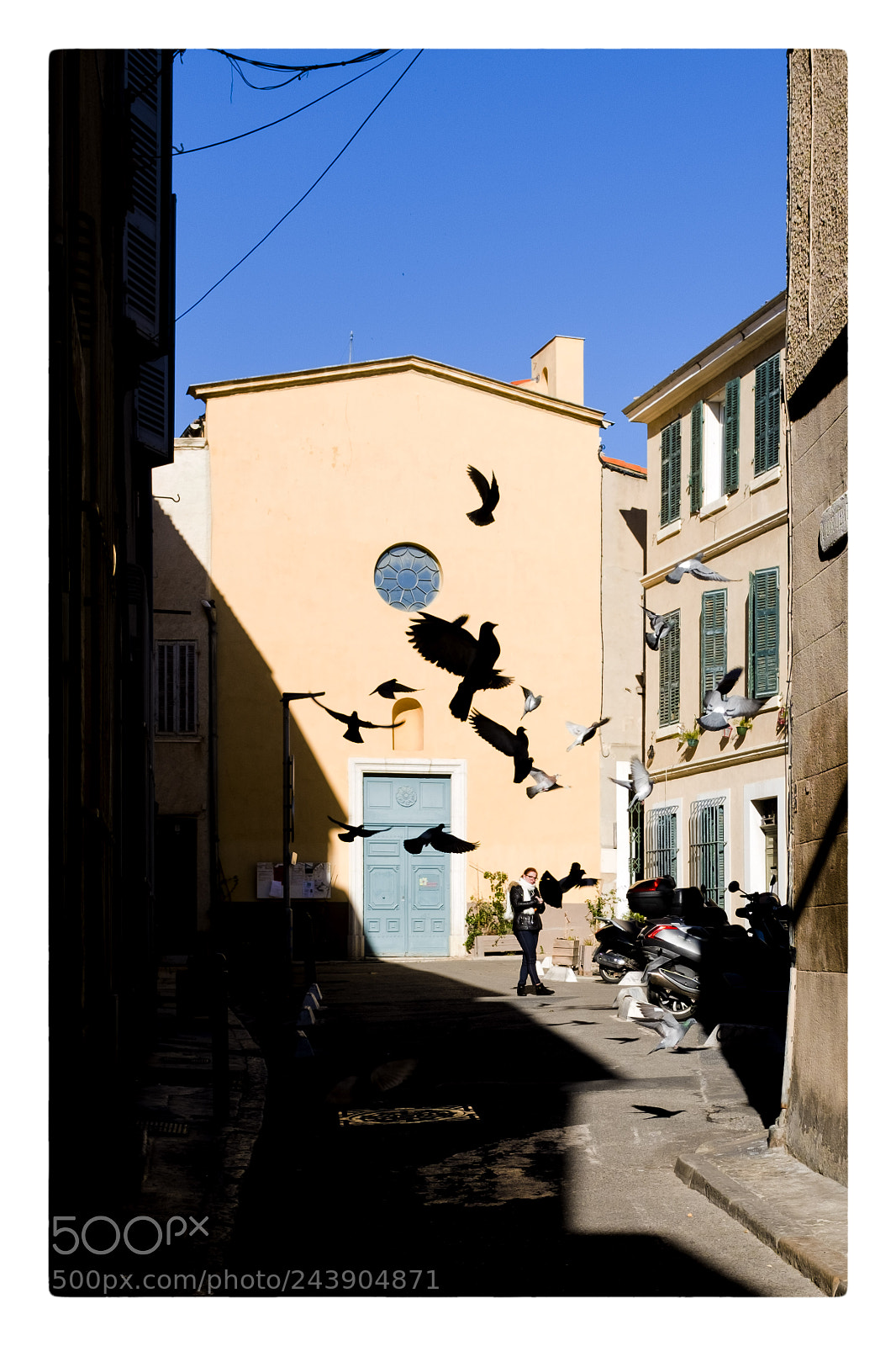 Fujifilm X100F sample photo. Birds photography