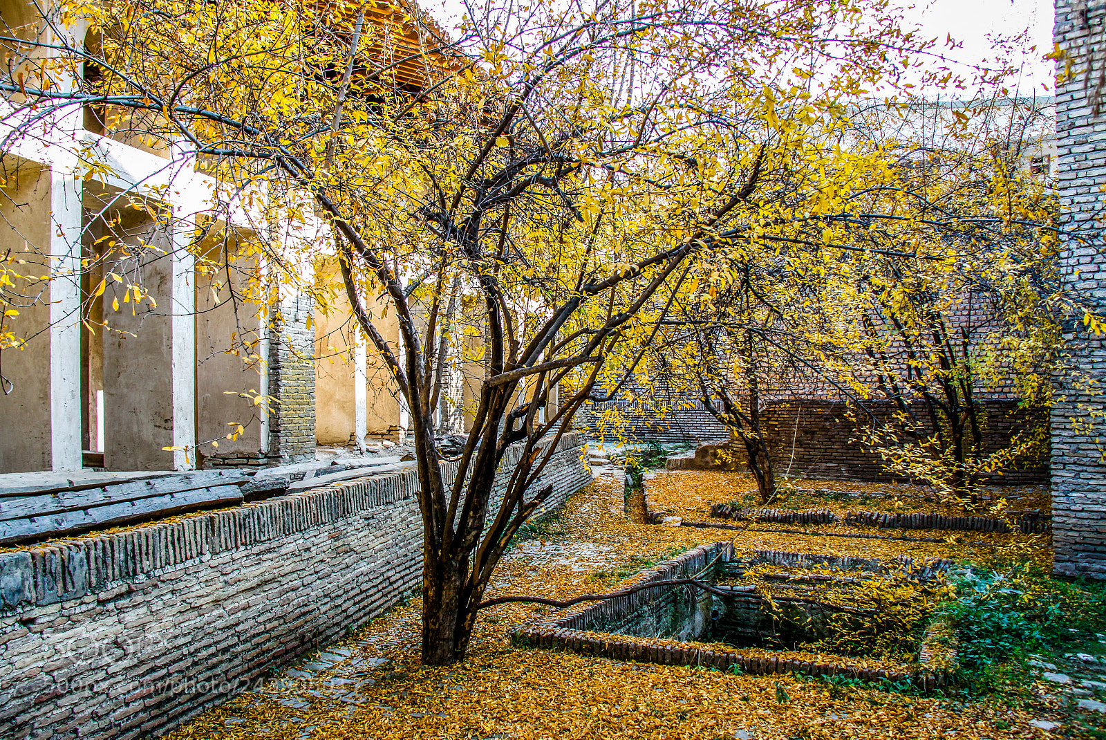 Canon EOS 50D sample photo. Autumn in baqeri mansion photography