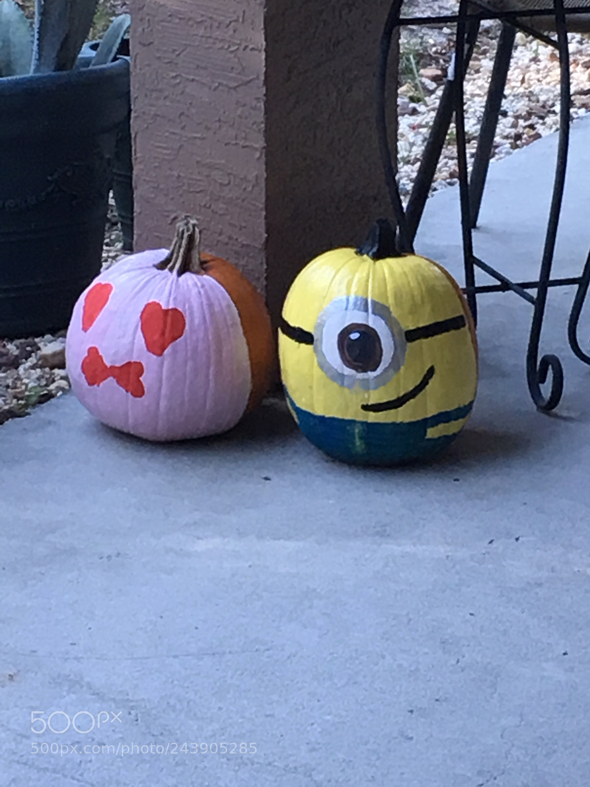 Apple iPad Pro sample photo. Pumpkin painting photography