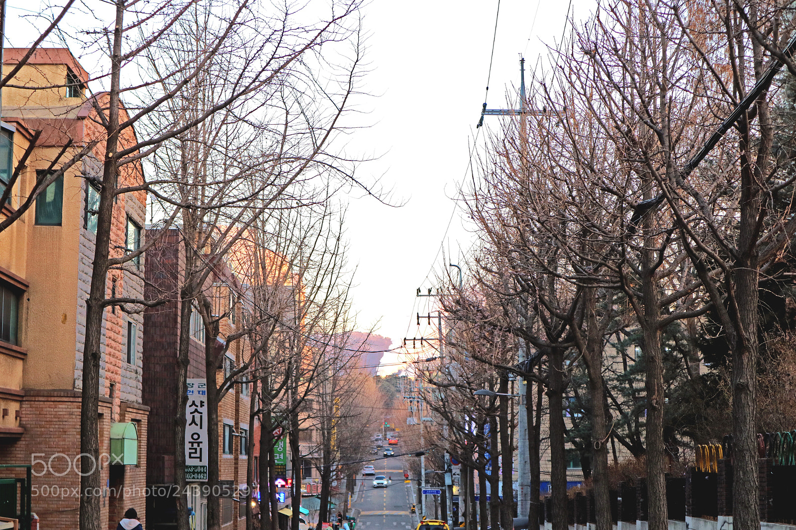 Canon EOS M3 sample photo. Around the tree photography