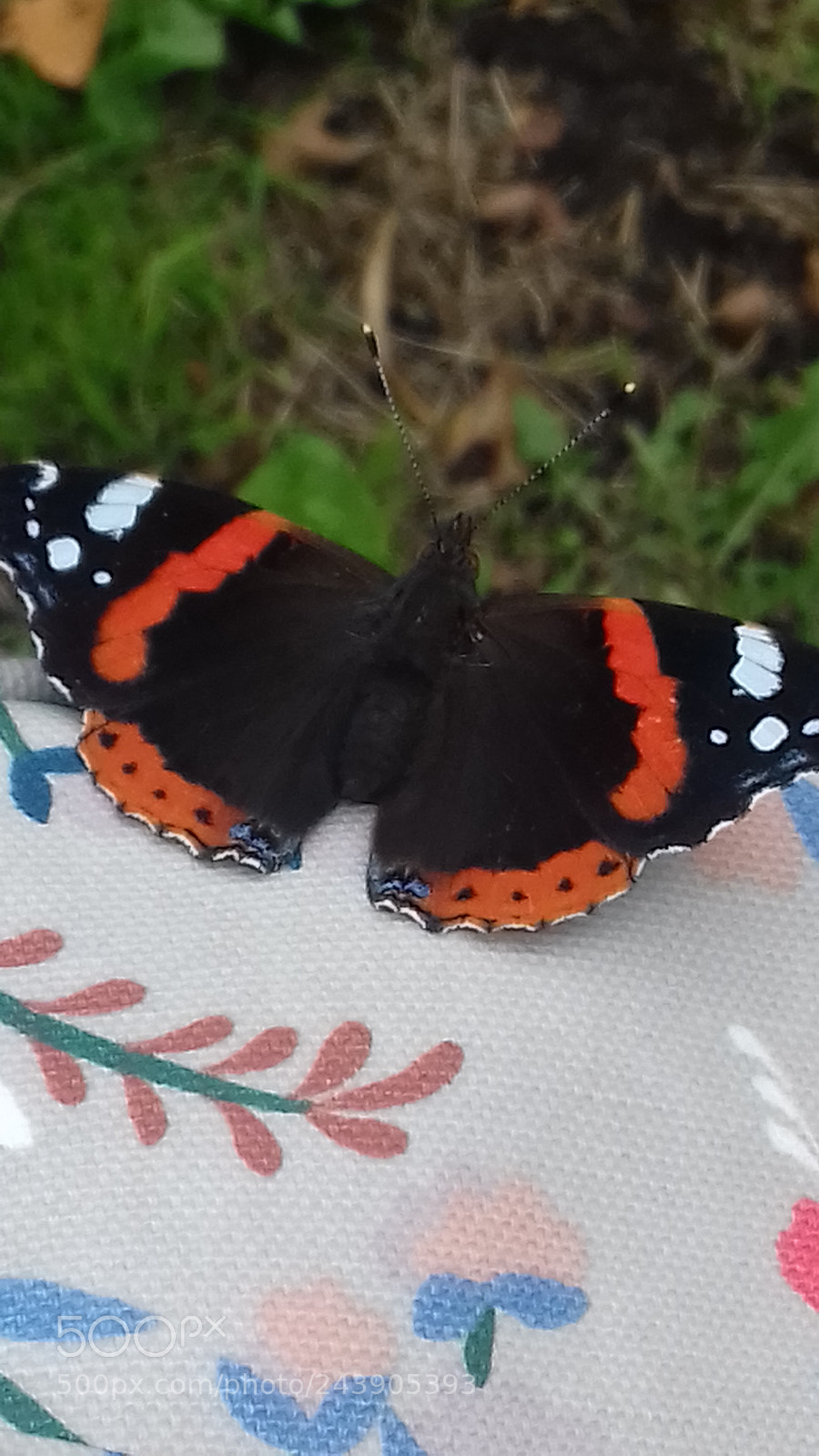 Samsung Galaxy J3(2016) sample photo. Butterfly on bag photography