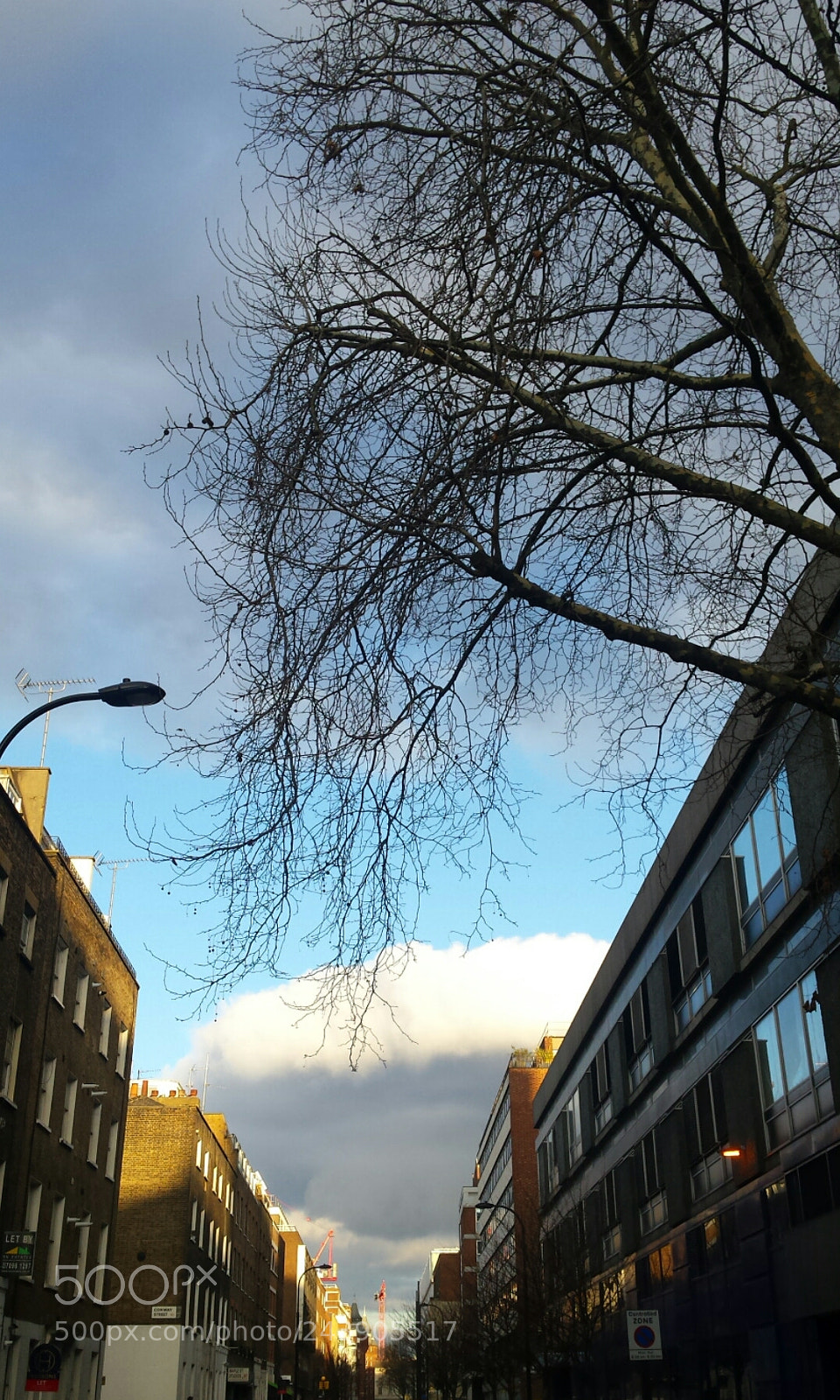 Samsung Galaxy S4 sample photo. Untitled photography