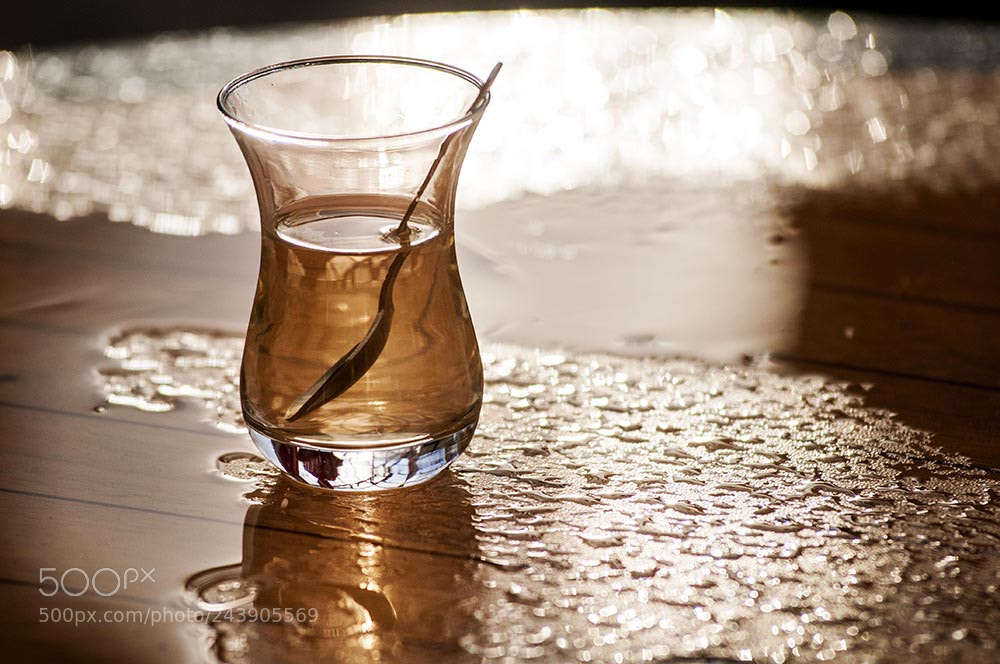 Nikon D300 sample photo. ıhlamur photography
