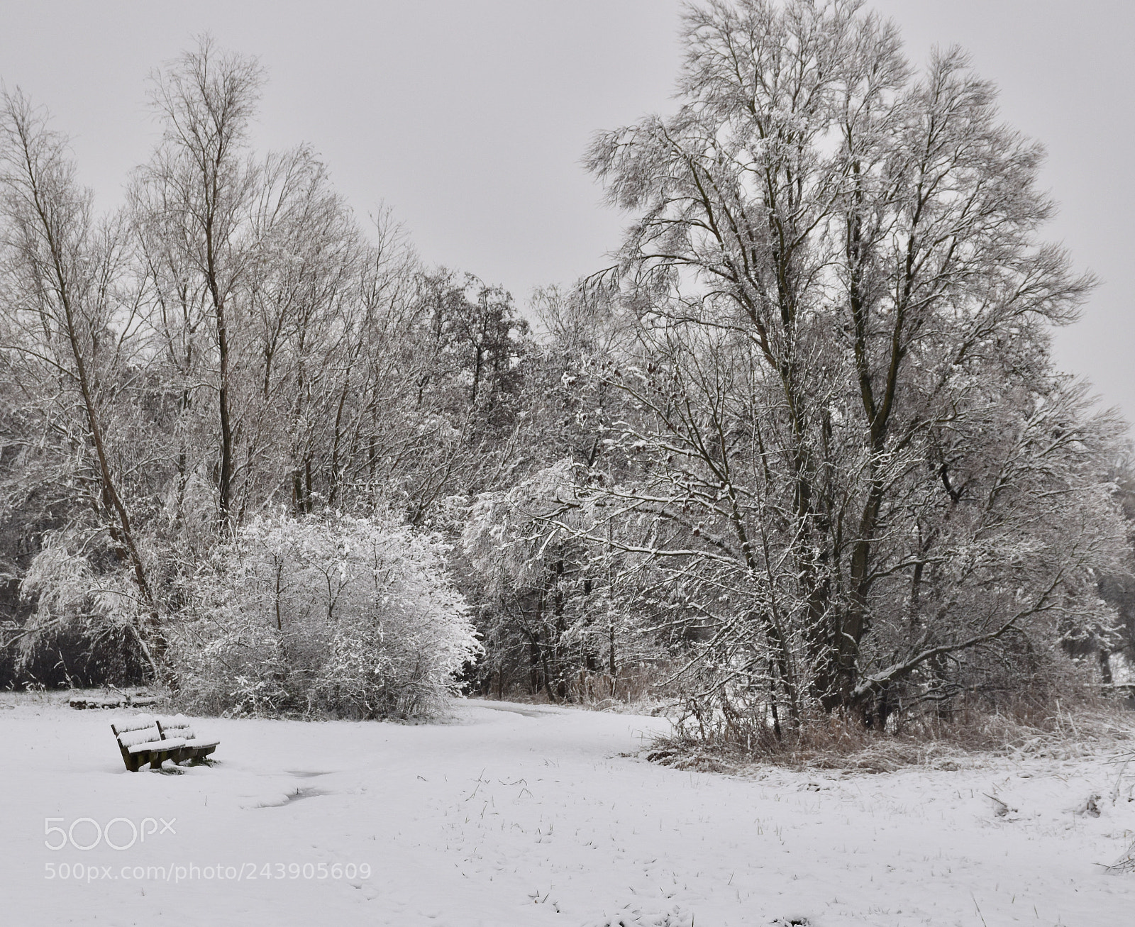 Nikon D5600 sample photo. Sit, relax and enjoy photography