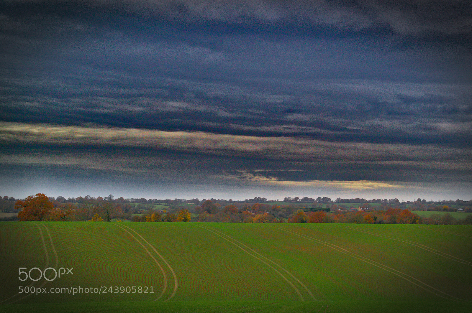 Nikon D3100 sample photo. An autumn saturday in photography