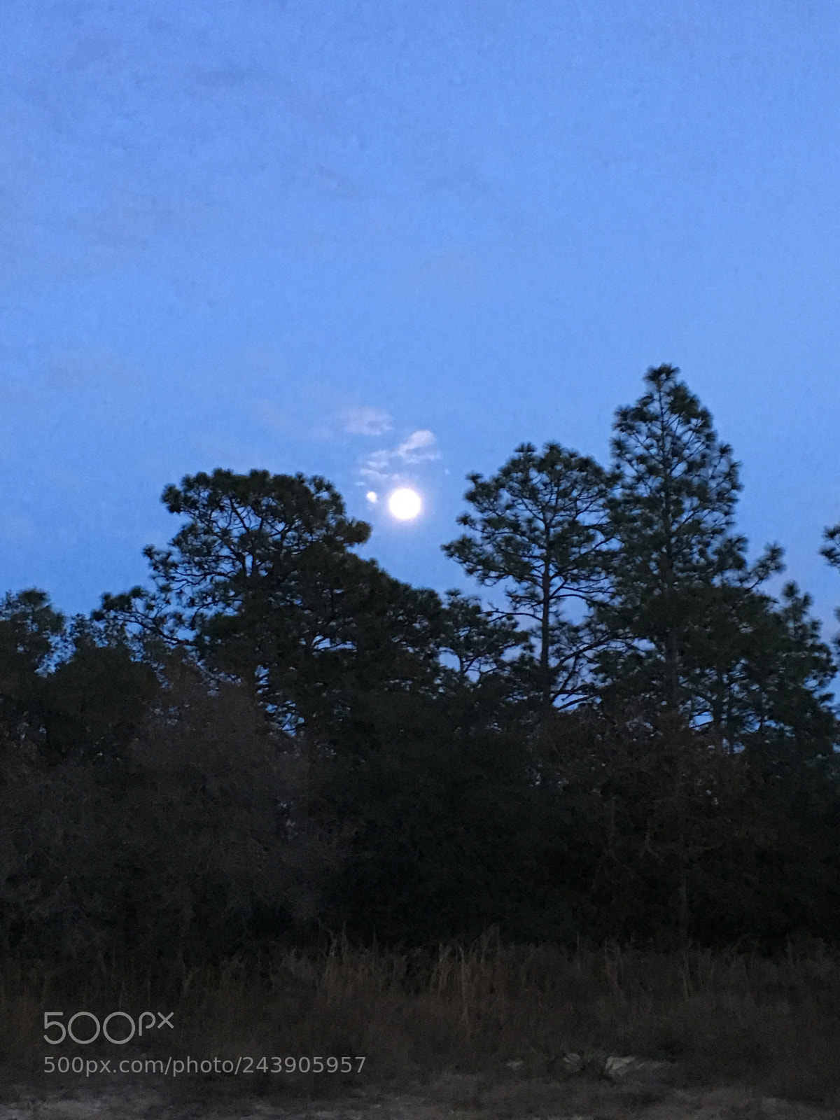 Apple iPad Pro sample photo. Super moon photography