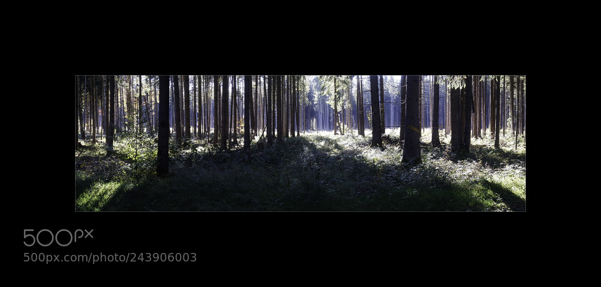 Sony Alpha NEX-6 sample photo. On a hot summer photography