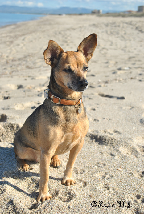 Nikon D3000 sample photo. Perla photography