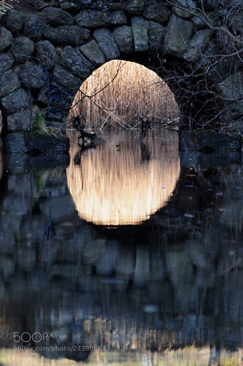 Nikon D5000 sample photo. Td photography