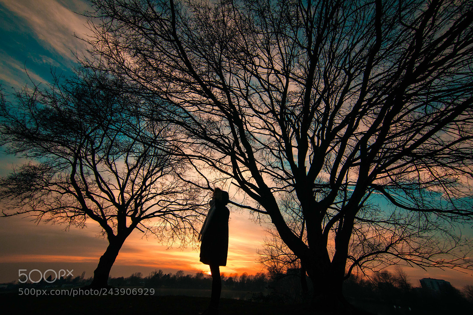 Canon EOS 60D sample photo. Silhoutte photography