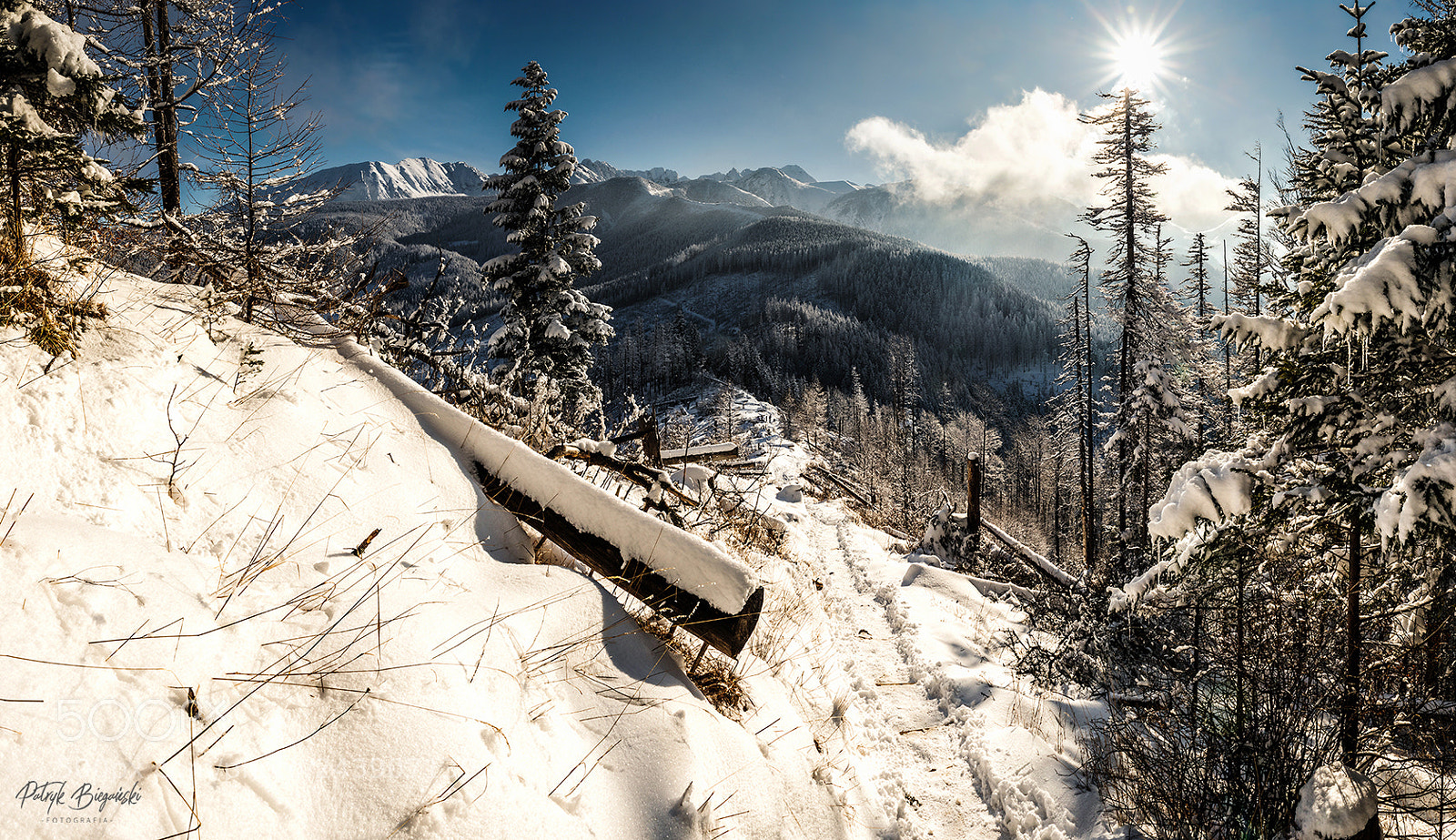Nikon D810 sample photo. Winter wonderland photography