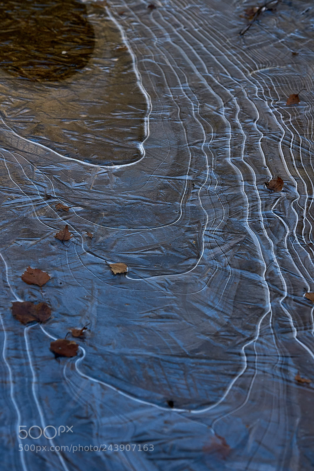 Sony a7 II sample photo. Ice photography