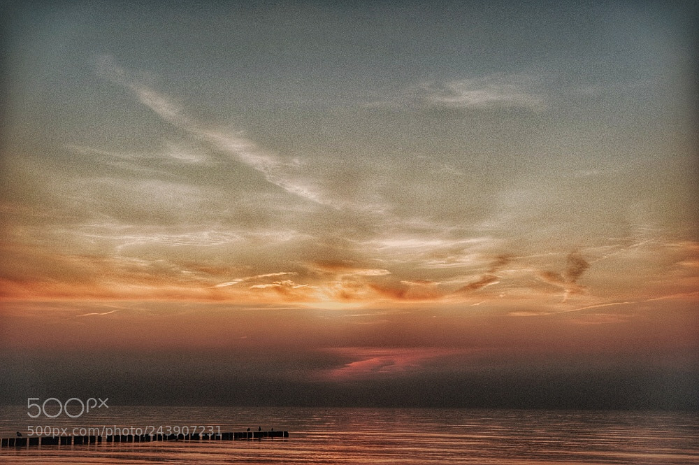 Nikon D700 sample photo. /""") photography