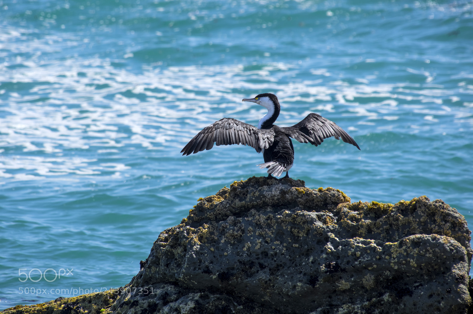Pentax K-3 II sample photo. Departure photography