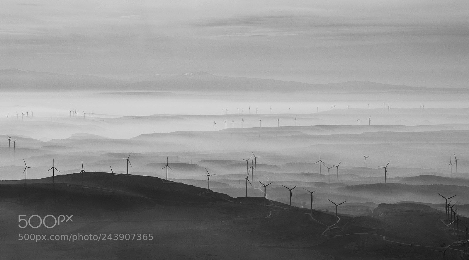 Fujifilm FinePix S5 Pro sample photo. Molinos entre la niebla photography