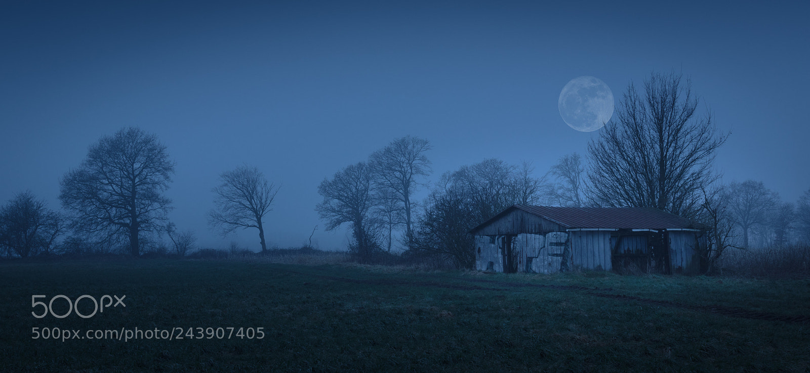 Canon EOS M5 sample photo. Blue moon photography