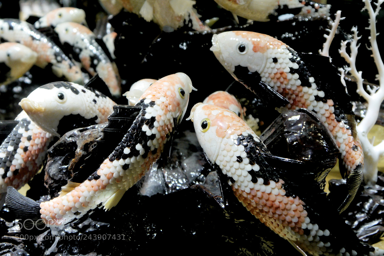 Panasonic Lumix DMC-G5 sample photo. Carved coral art photography