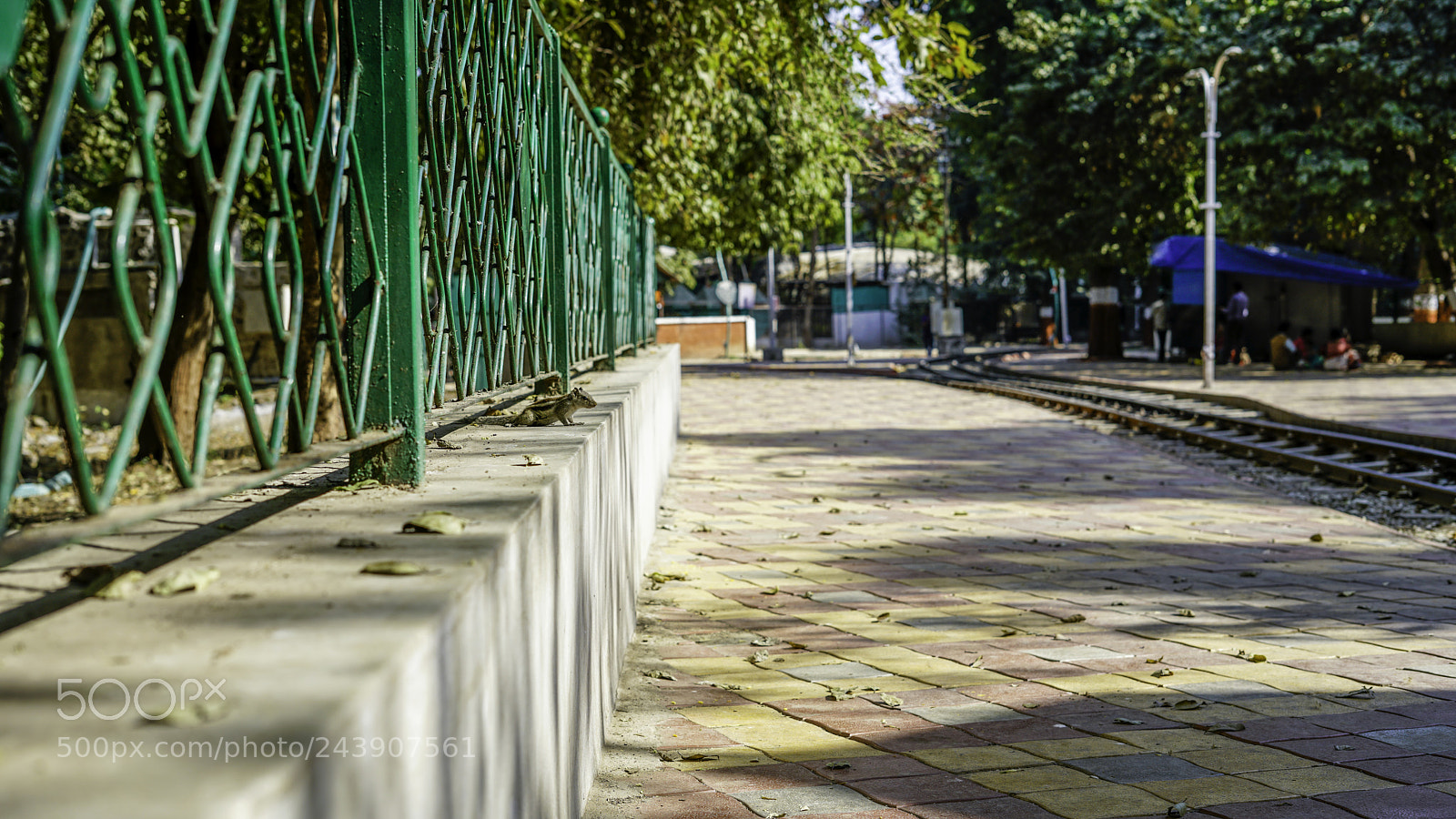 Sony a7R II sample photo. Before jump photography