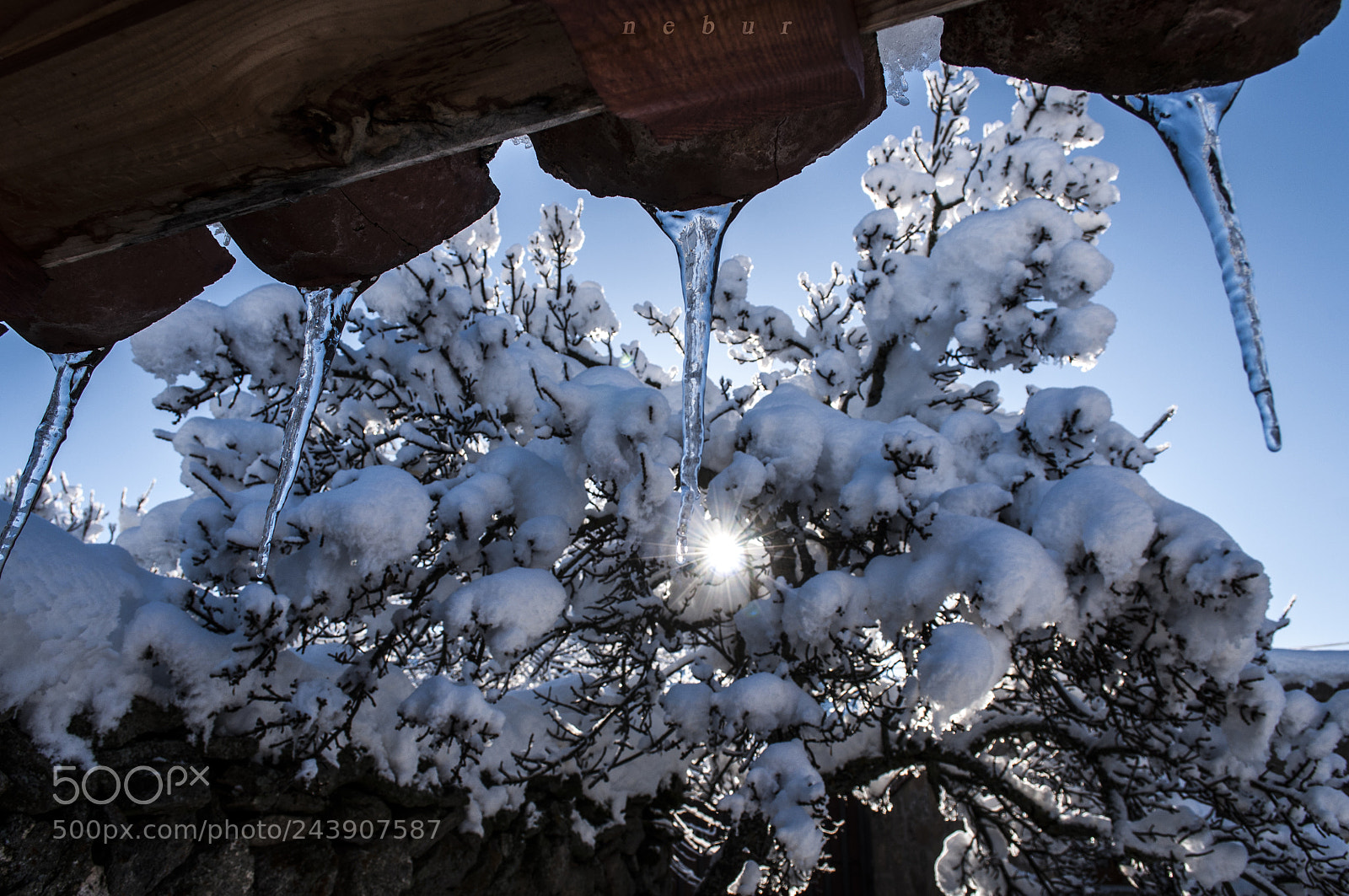 Nikon D90 sample photo. Snow photography