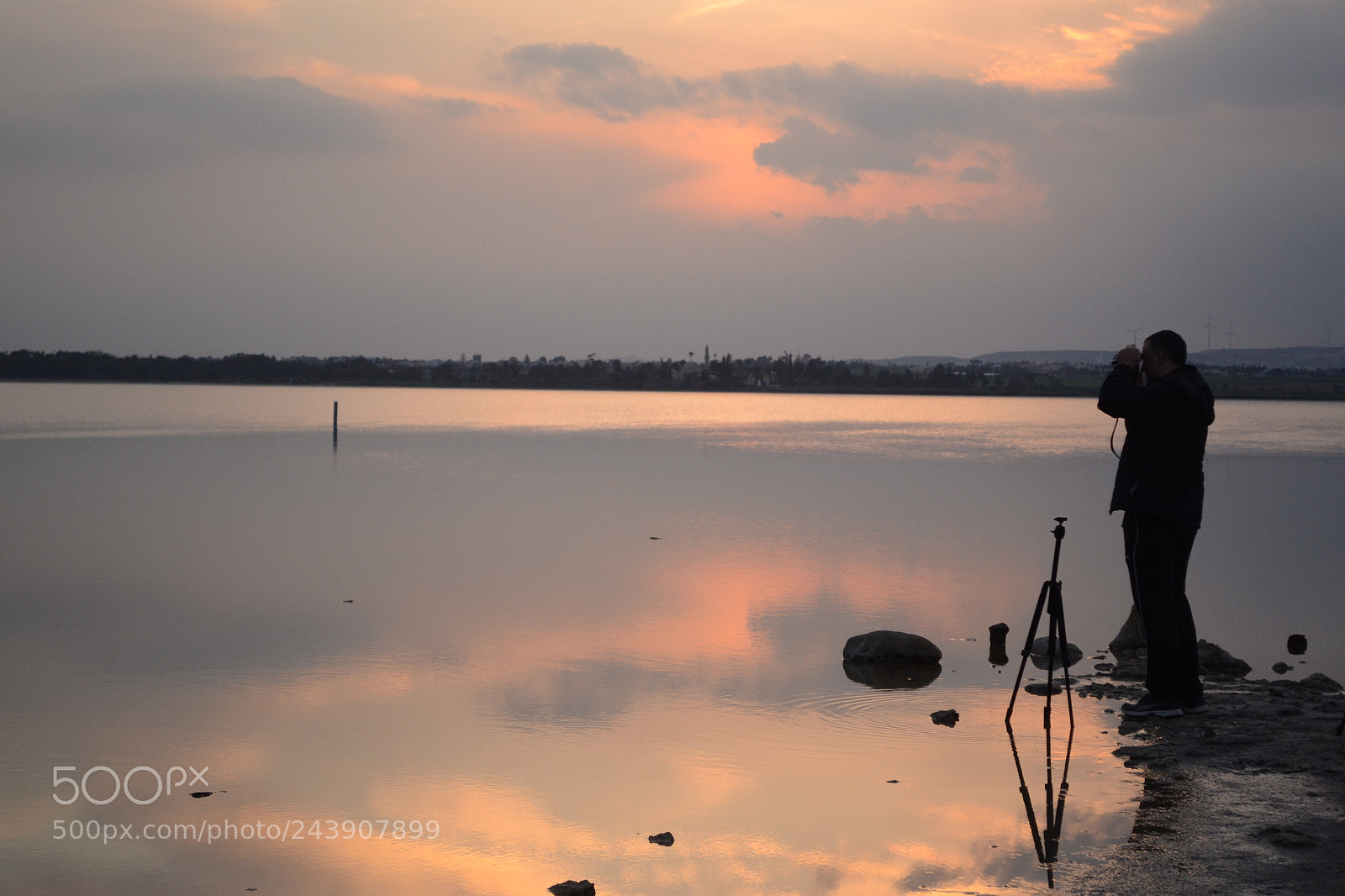 Nikon D3100 sample photo. Photo shooting in the photography