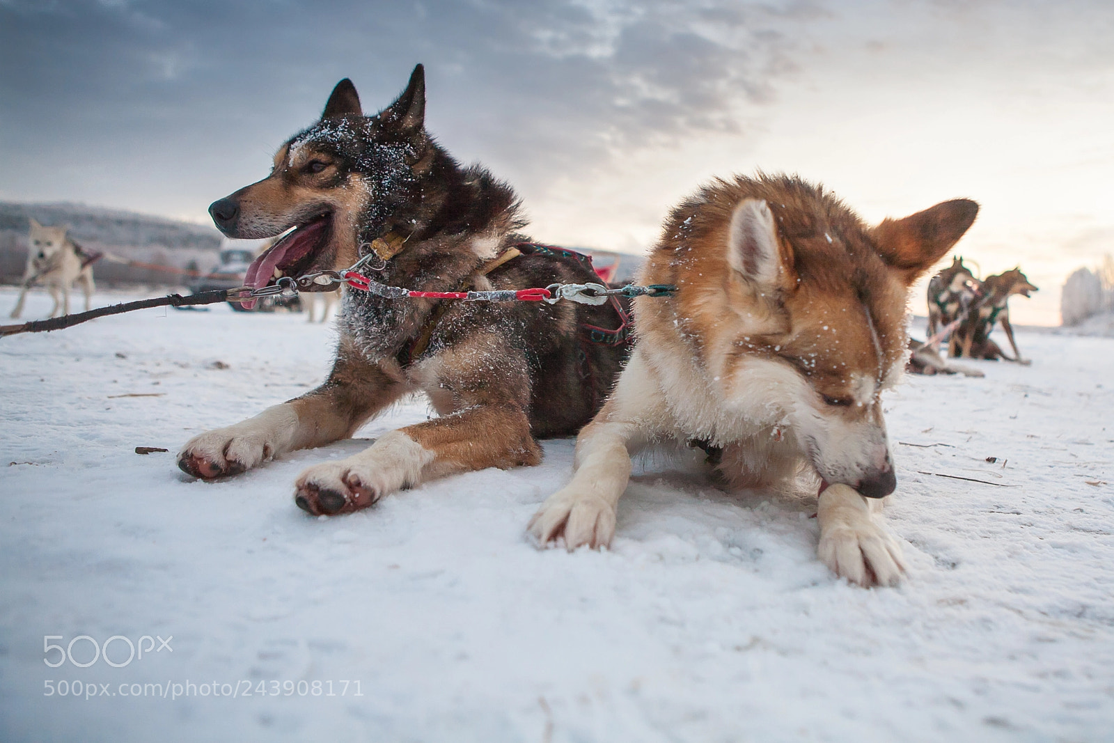 Canon EOS 5D sample photo. Unbelievable adventure photography
