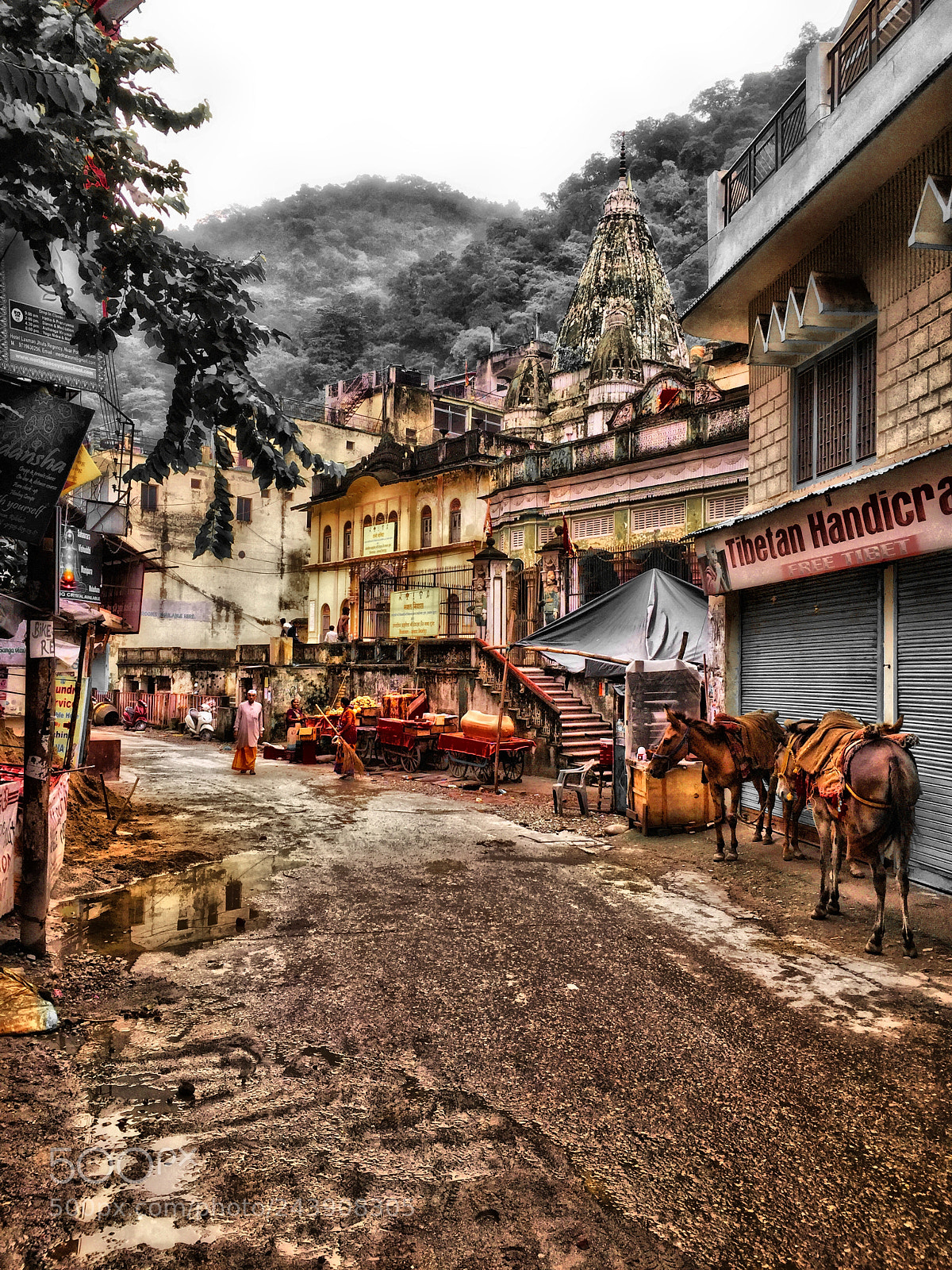 Apple iPhone 6 Plus sample photo. Rishikesh india photography