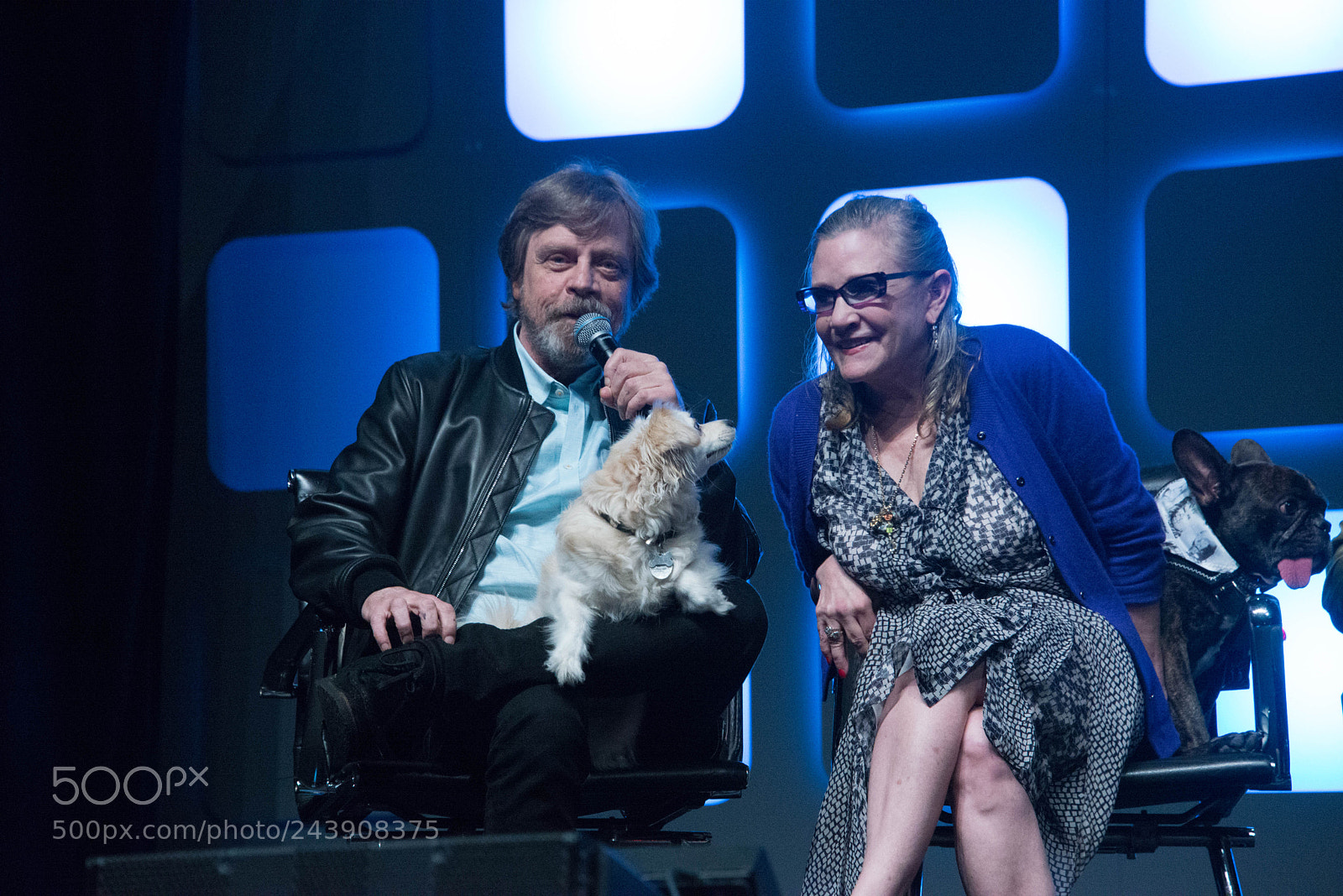 Nikon D610 sample photo. The last jedi photography