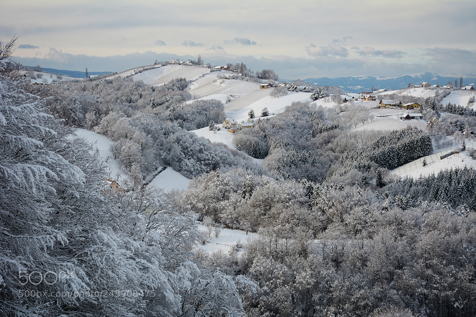 Nikon D7100 sample photo. Winter in southstyria photography