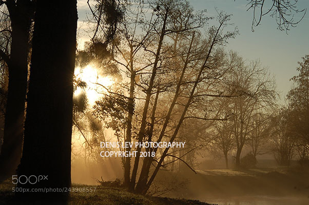 Nikon D50 sample photo. Book of fog photography