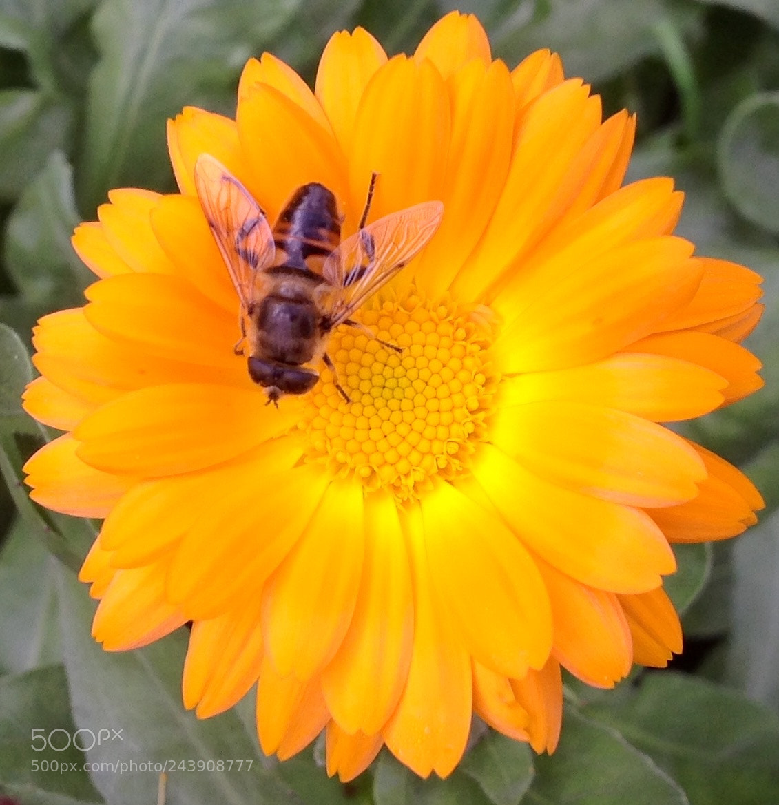 Apple iPad sample photo. Untitled photography