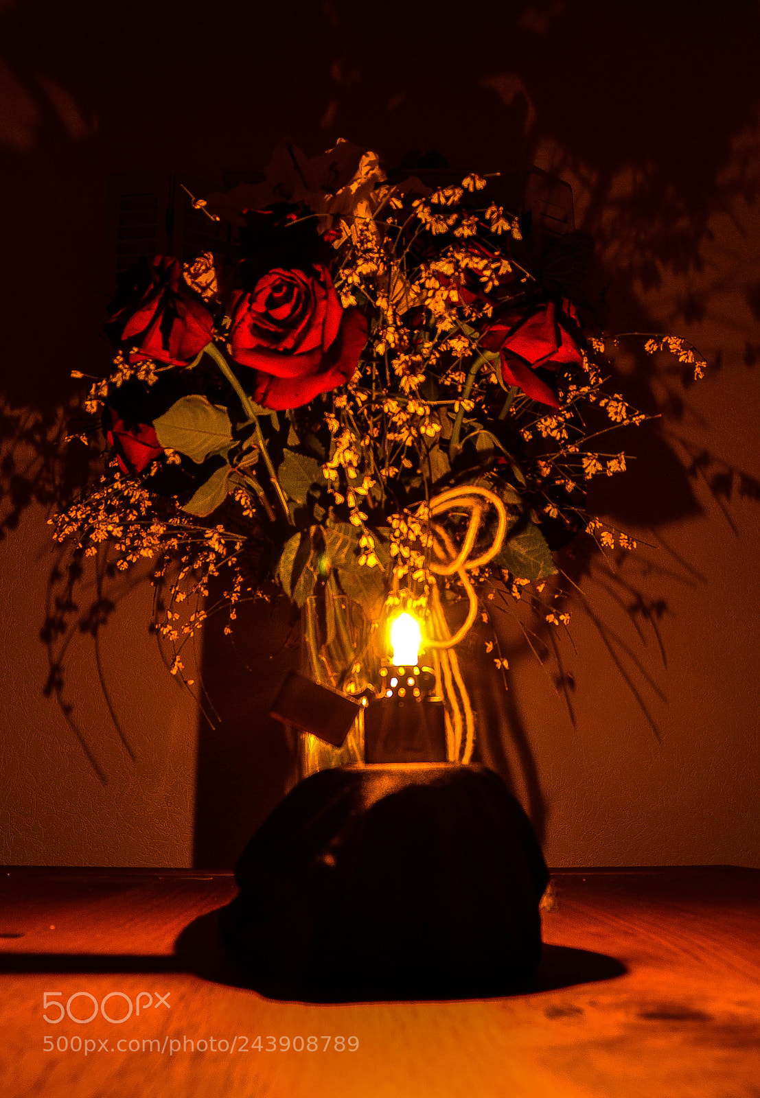 Nikon D3100 sample photo. Flower and flame photography