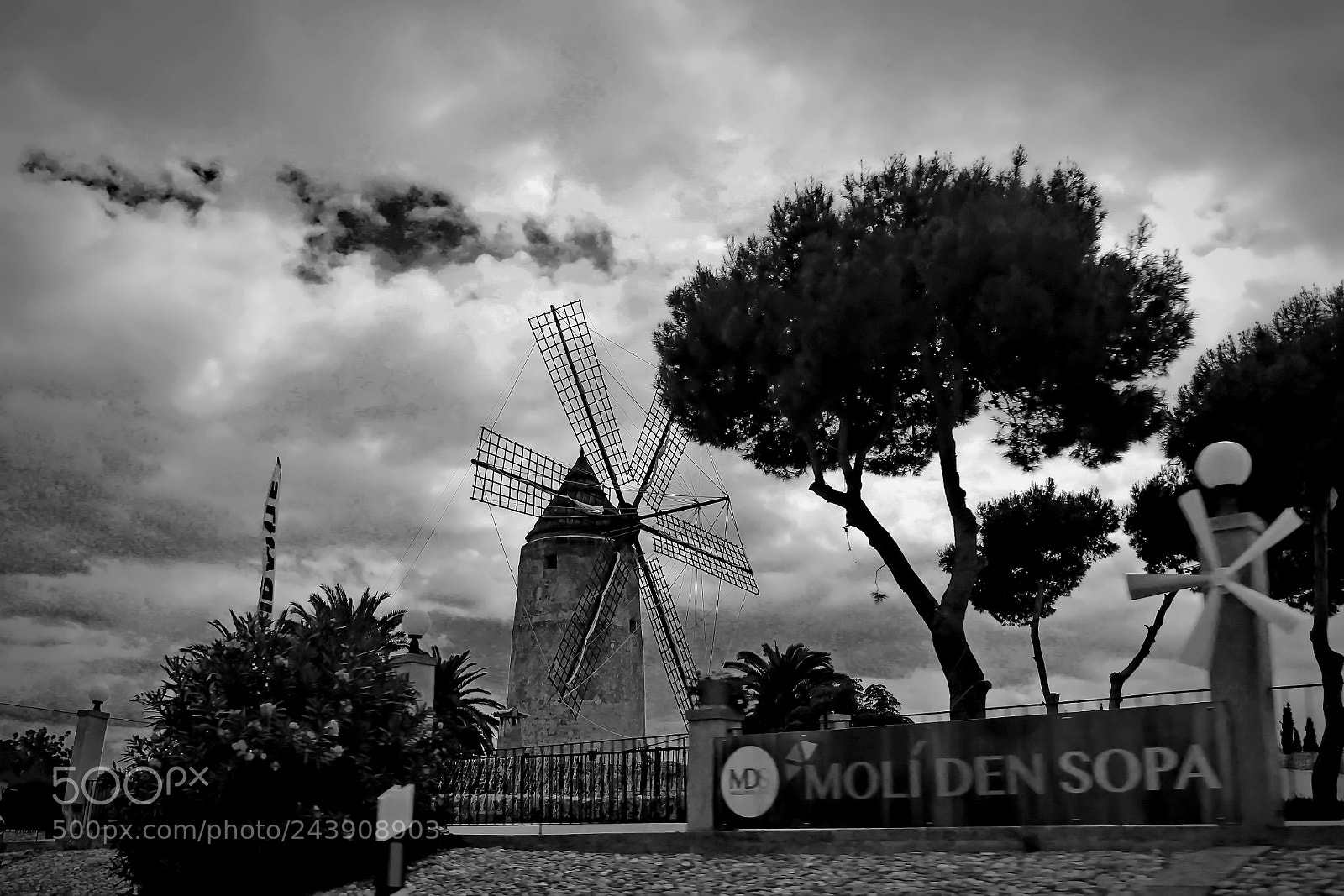 Canon EOS sample photo. Mill on the road photography