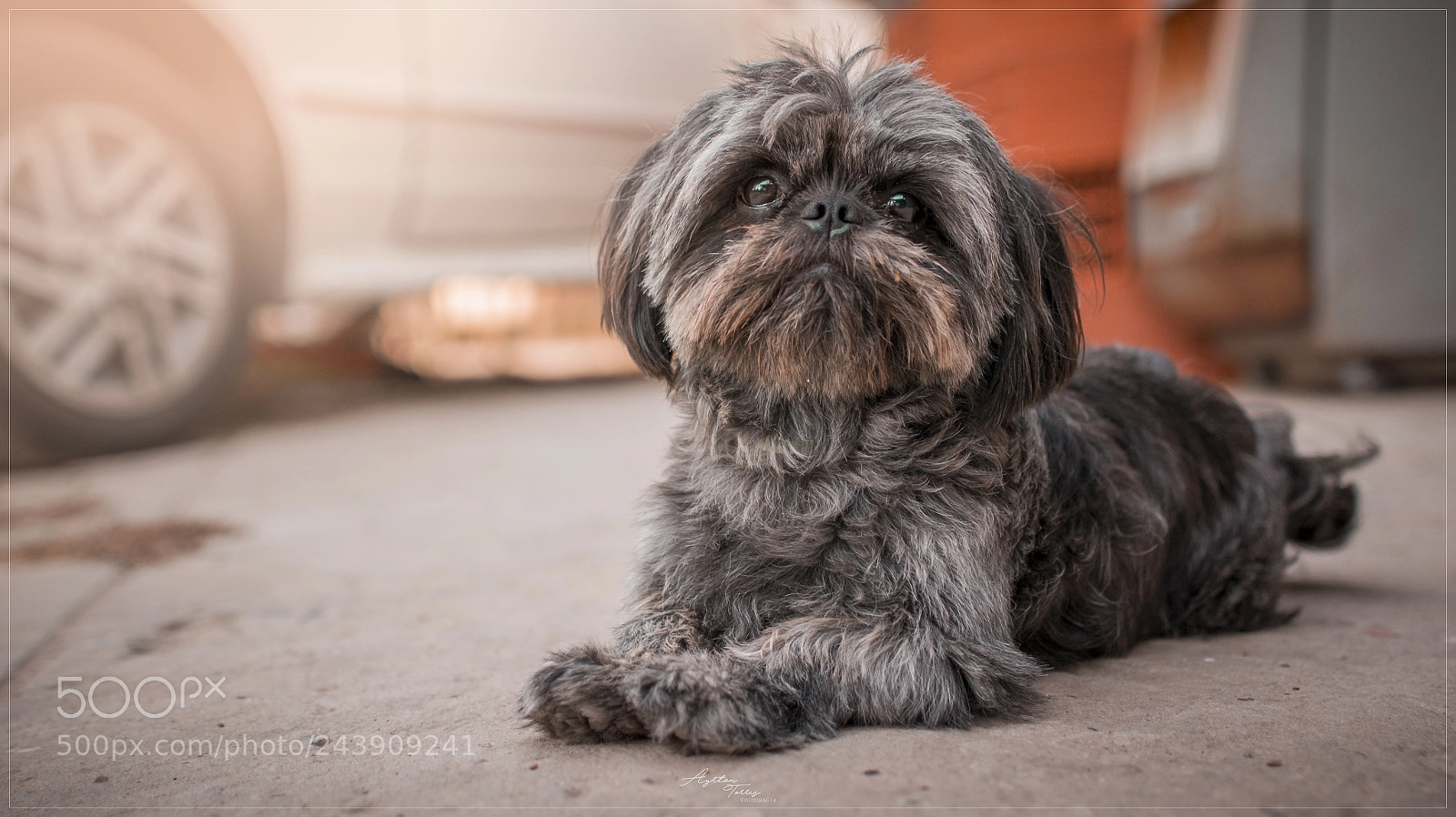 Nikon D7100 sample photo. D7100 + 35.0 mm f/1.8 photography