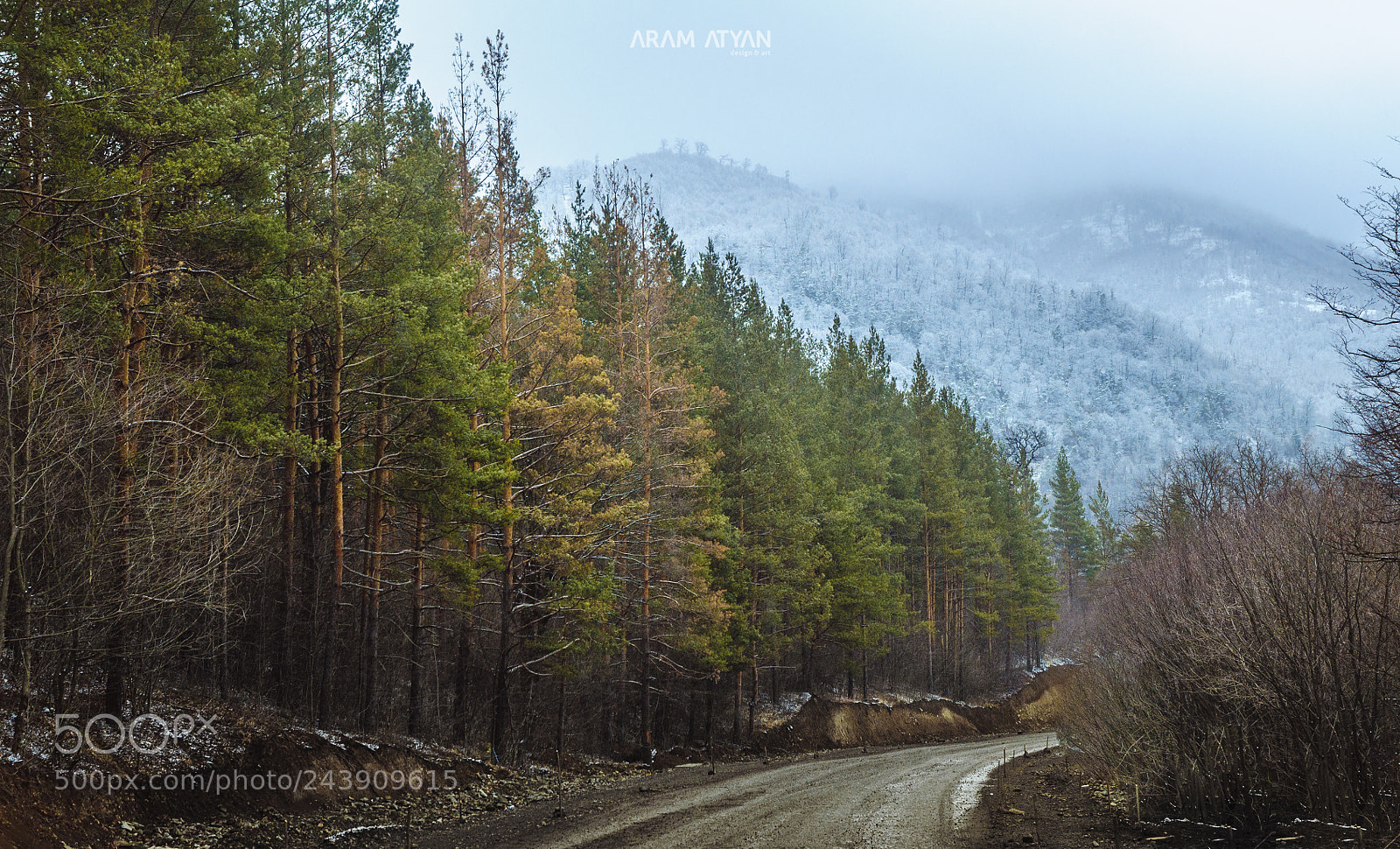 Nikon D90 sample photo. Road to the home photography