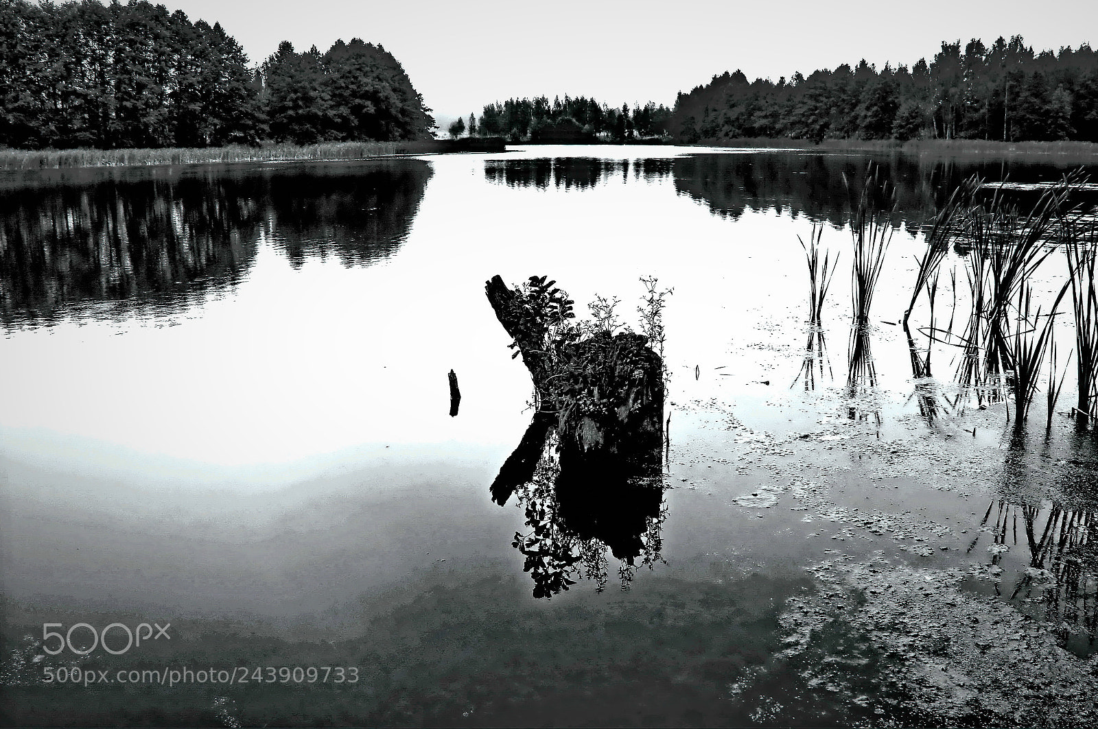 Canon EOS 60D sample photo. Morning photography