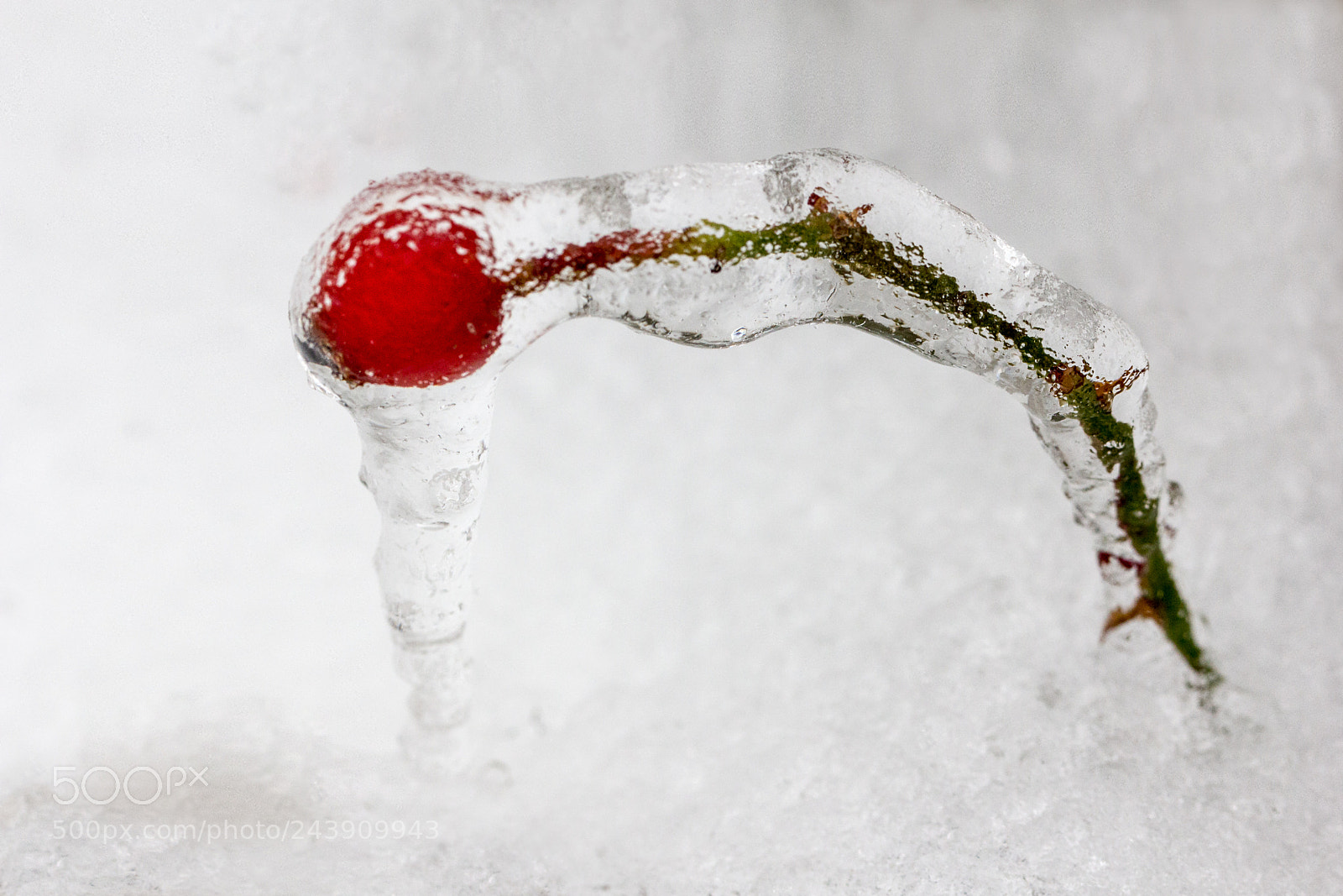 Canon EOS 60D sample photo. Frozen photography