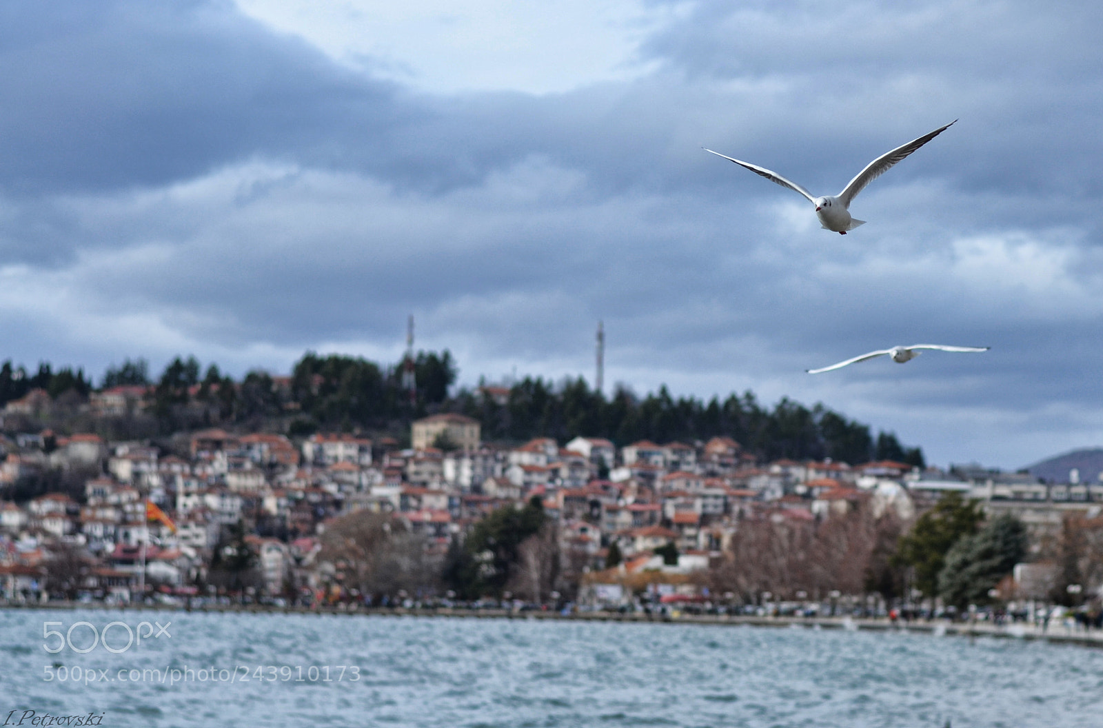 Nikon D3100 sample photo. Chasing photography