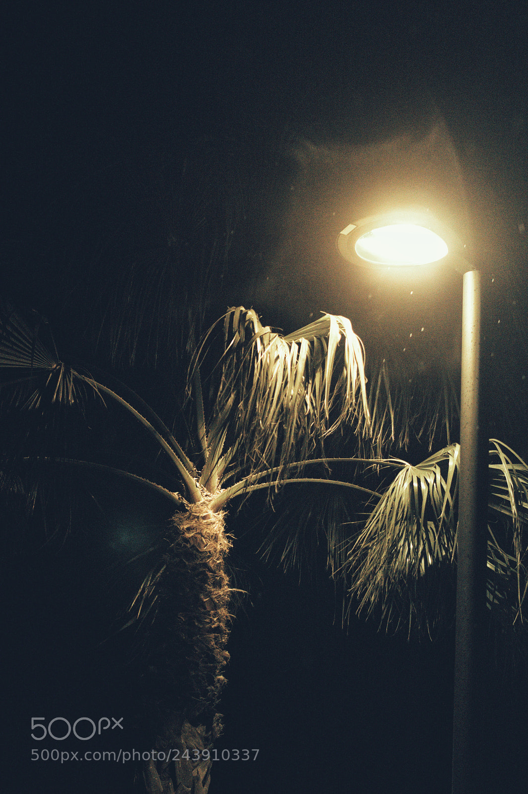 Nikon D3200 sample photo. Nochelluviosa photography