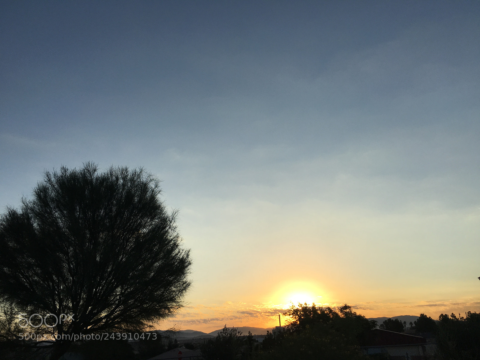 Apple iPhone 6s sample photo. ? . photography