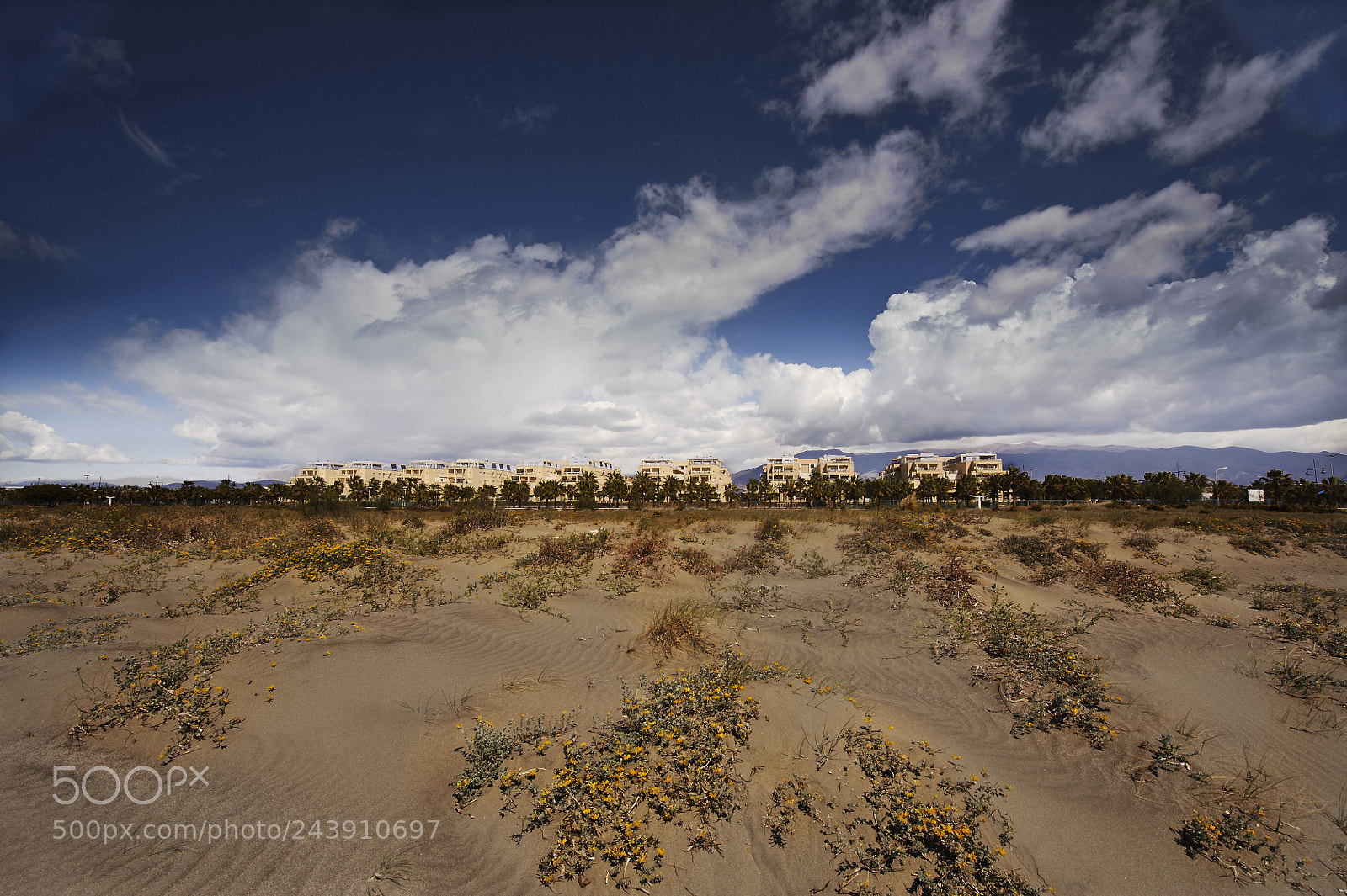 Nikon D700 sample photo. R. sol de alboran photography