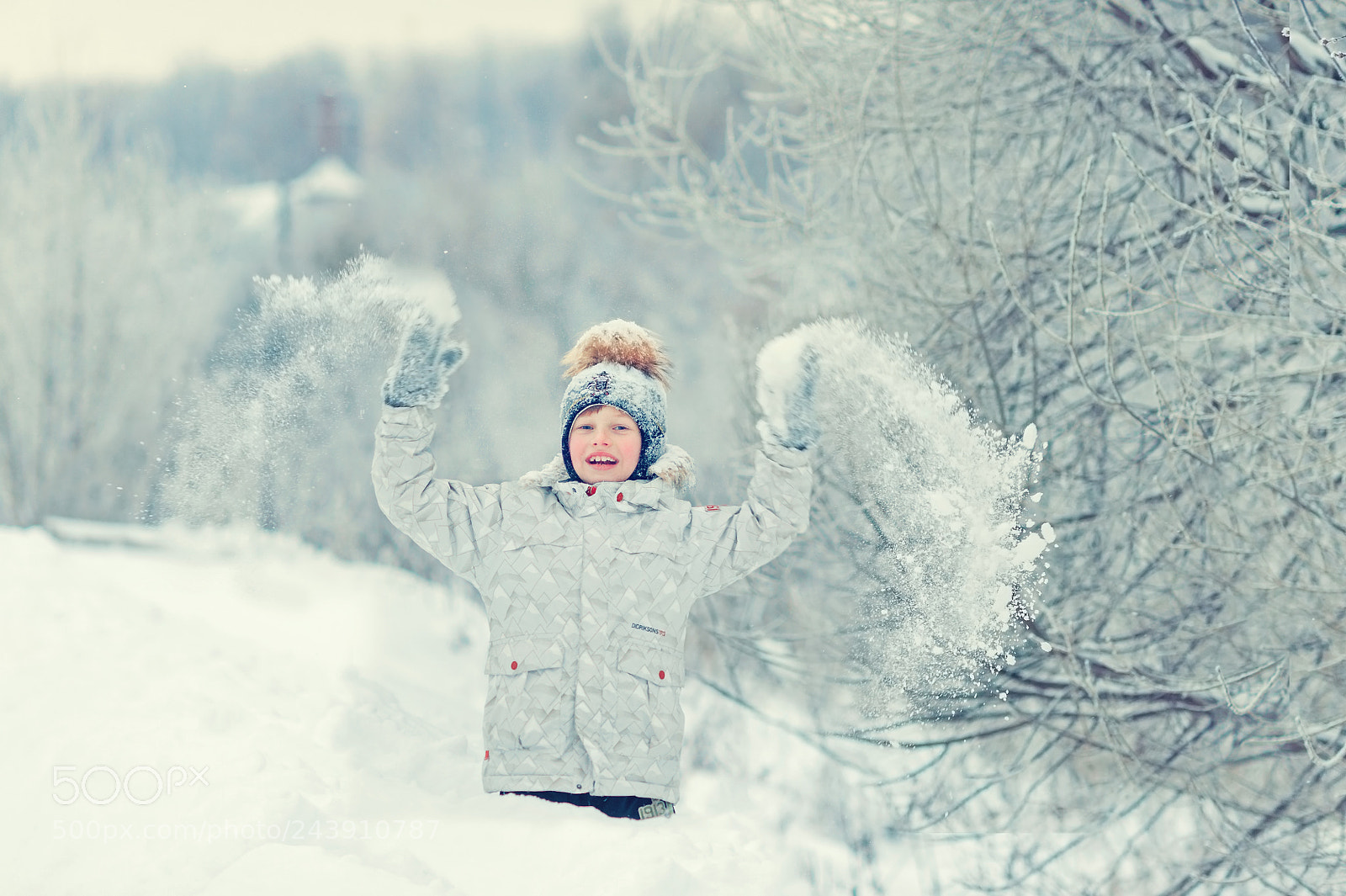 Nikon D700 sample photo. Winter photography