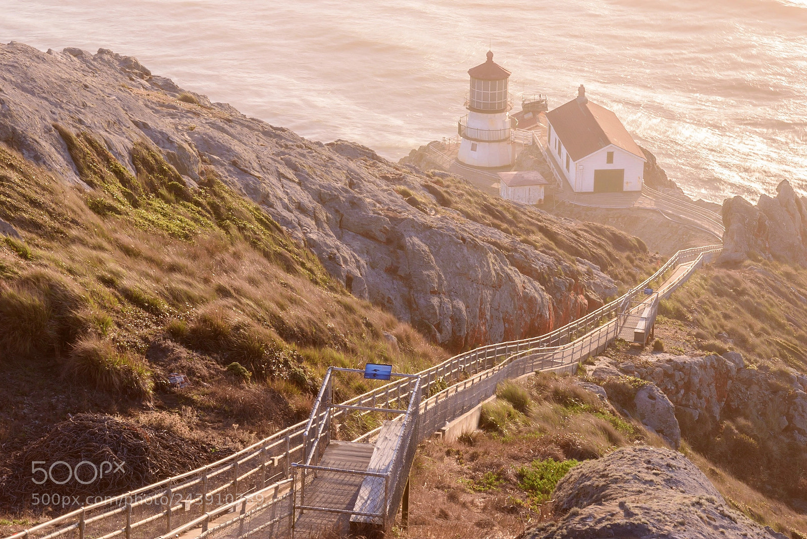 Nikon D810 sample photo. Point reyes lighthouse photography