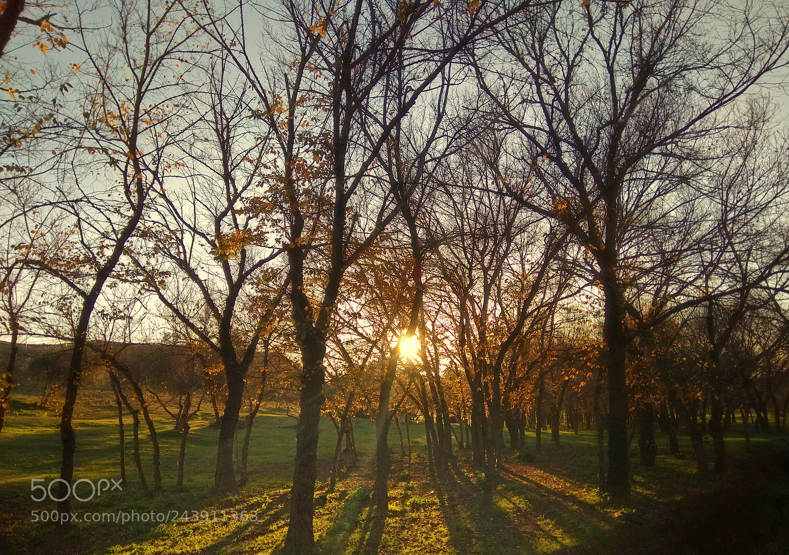 Xiaomi Redmi Note 4 sample photo. 44 photography