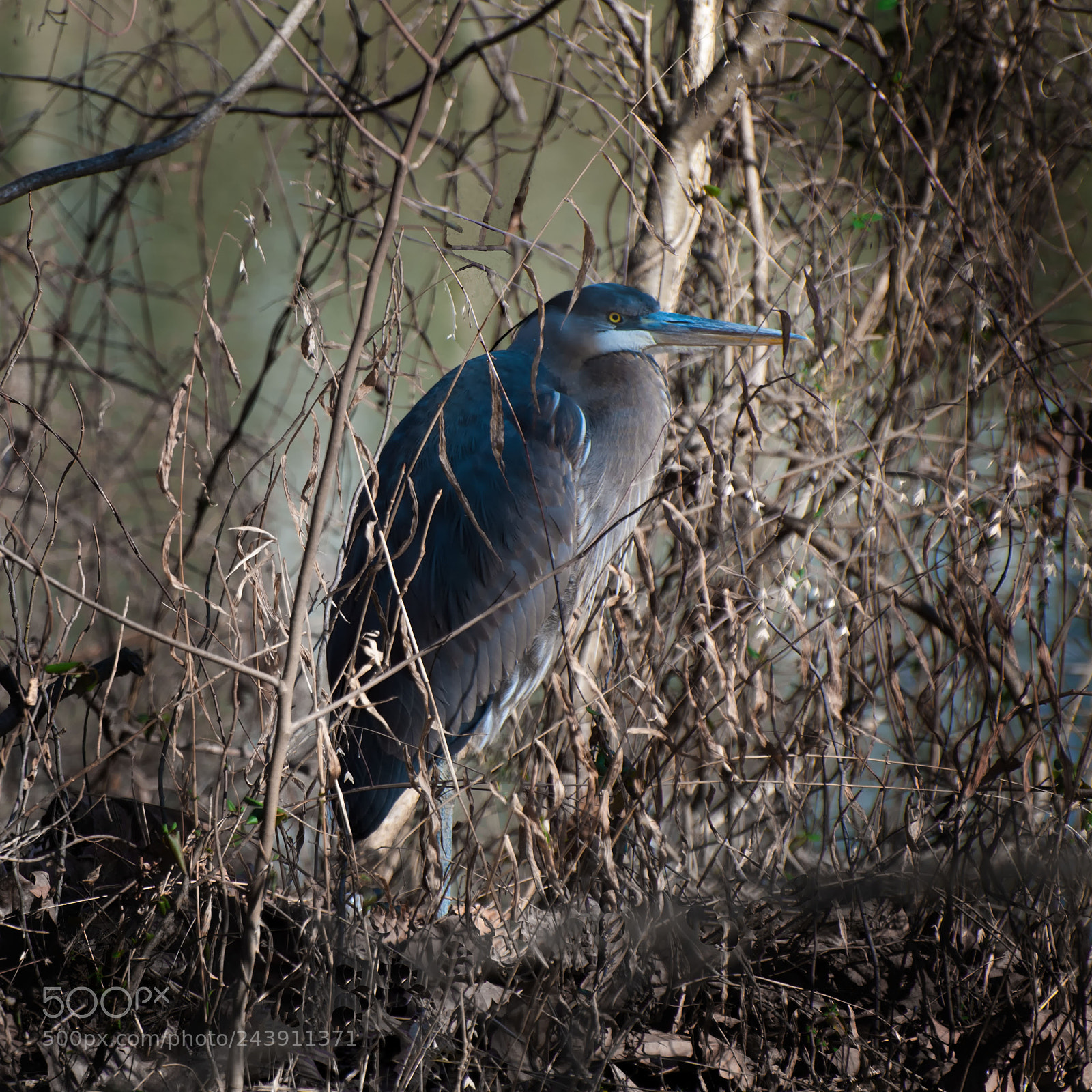 Nikon D300 sample photo. Undercover photography